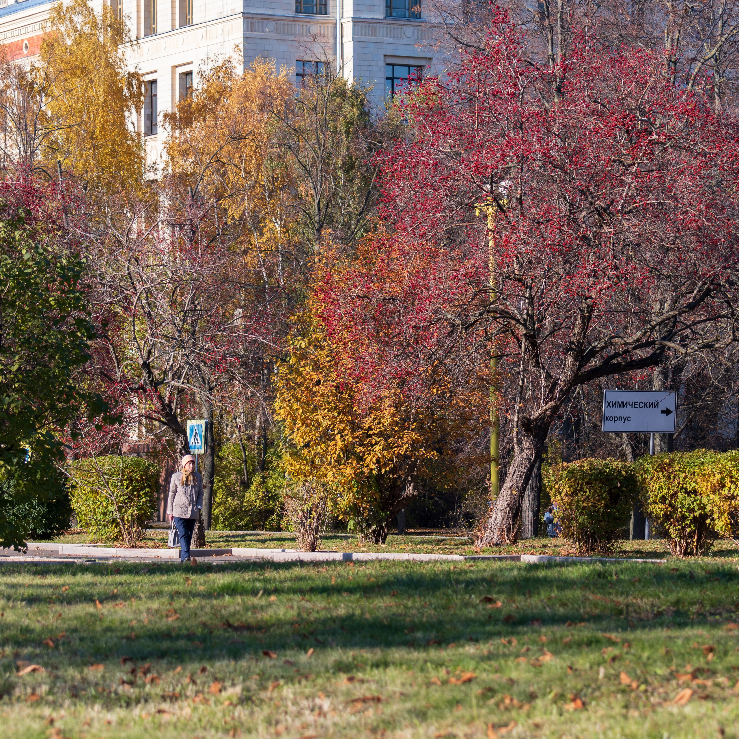 20211010 МГУ. Дмитрий Ремизов. Фотография, как хобби