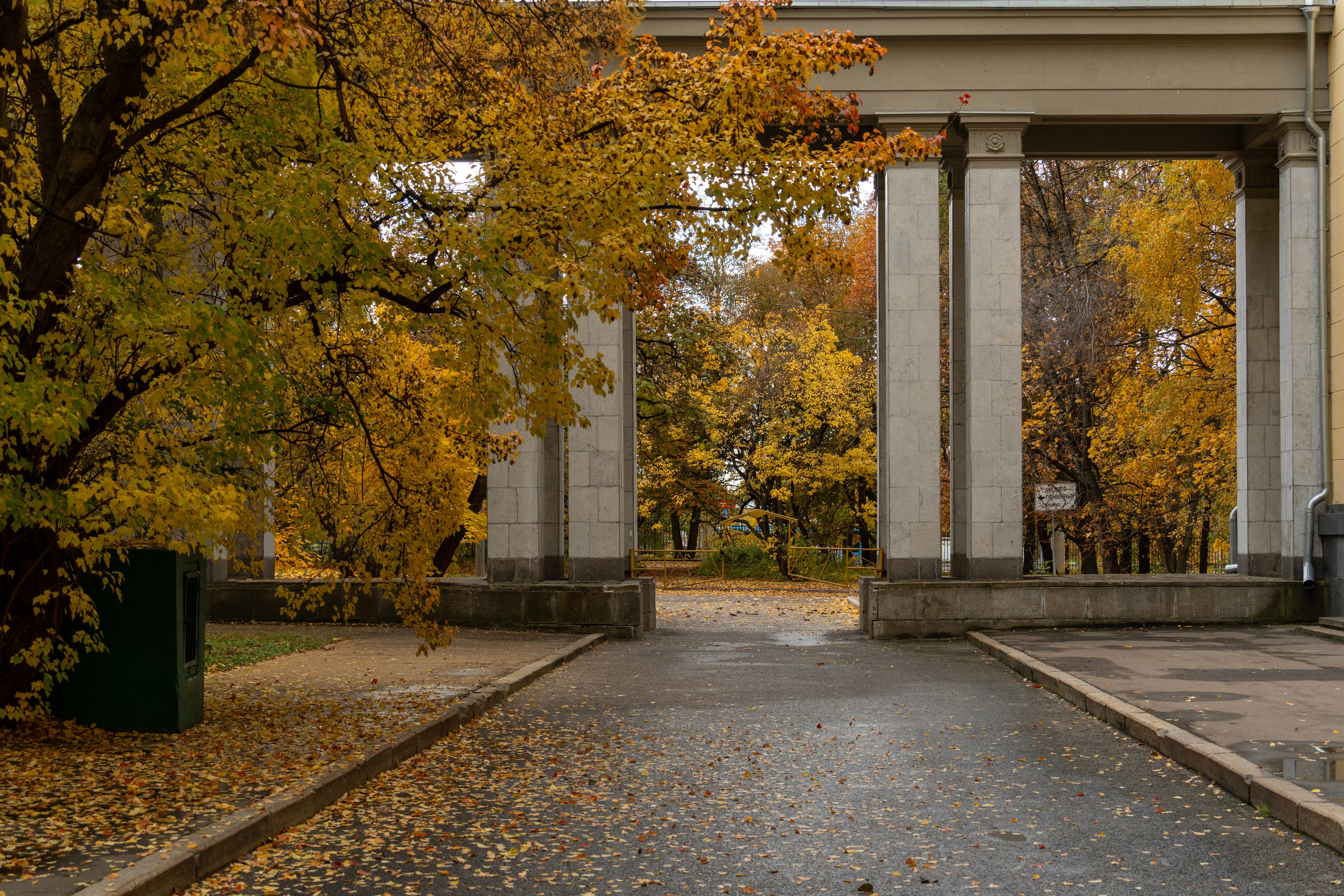 20251012 МГУ. Дмитрий Ремизов. Фотография, как хобби