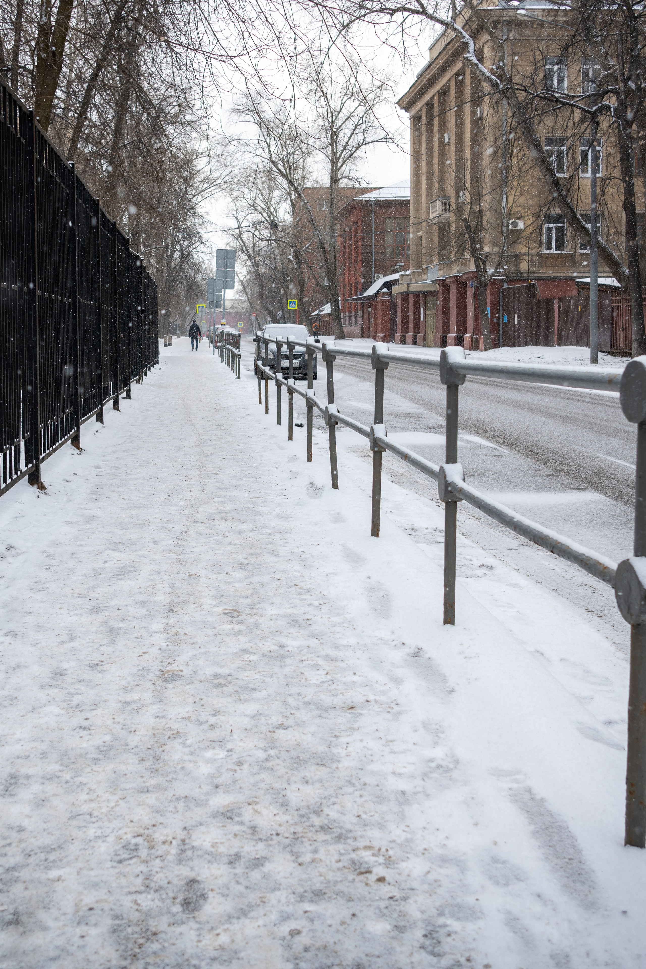20250216 Нескучный сад. Дмитрий Ремизов. Фотография, как хобби