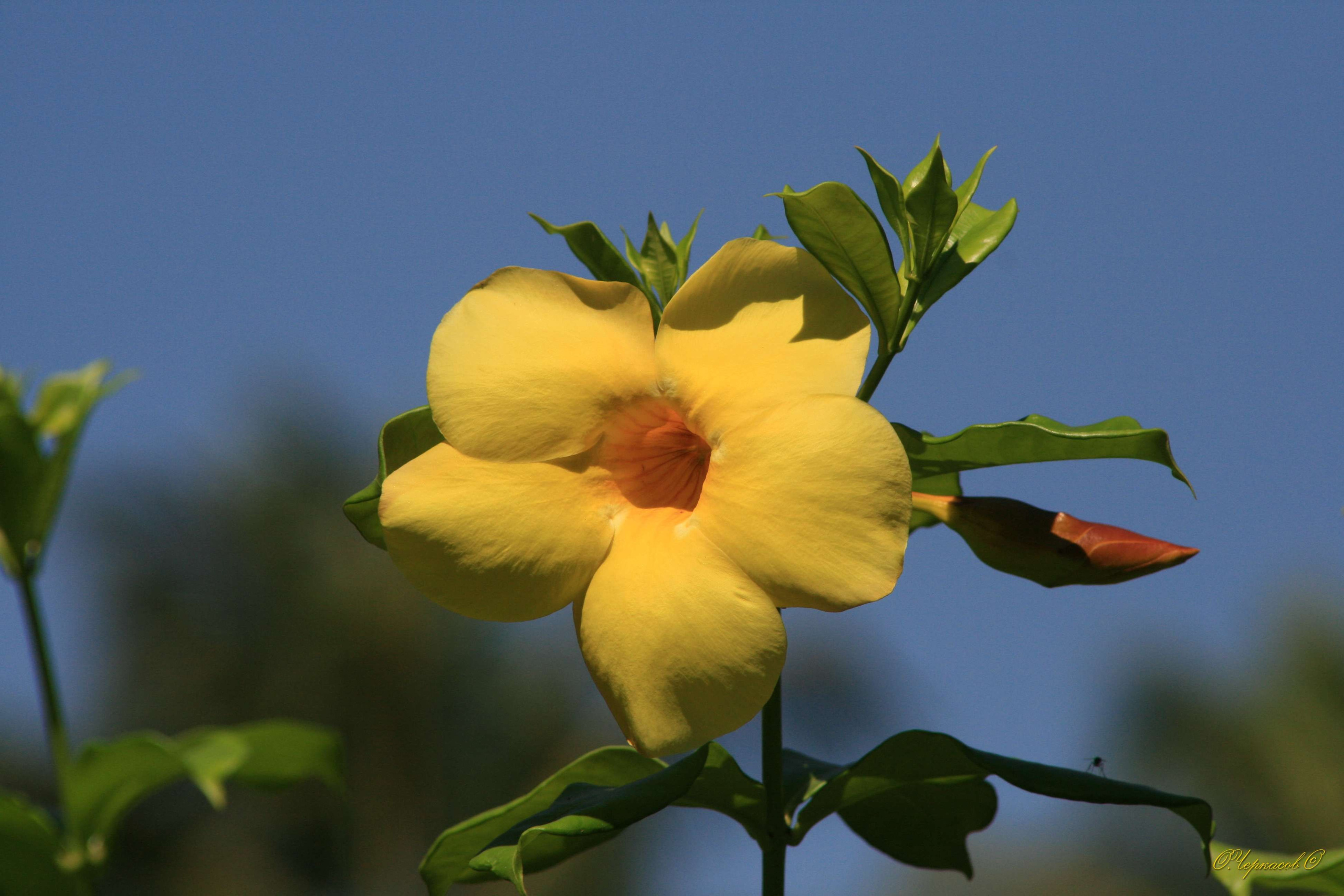 Вьетнам 2008 г. Улица, люди, жизнь…