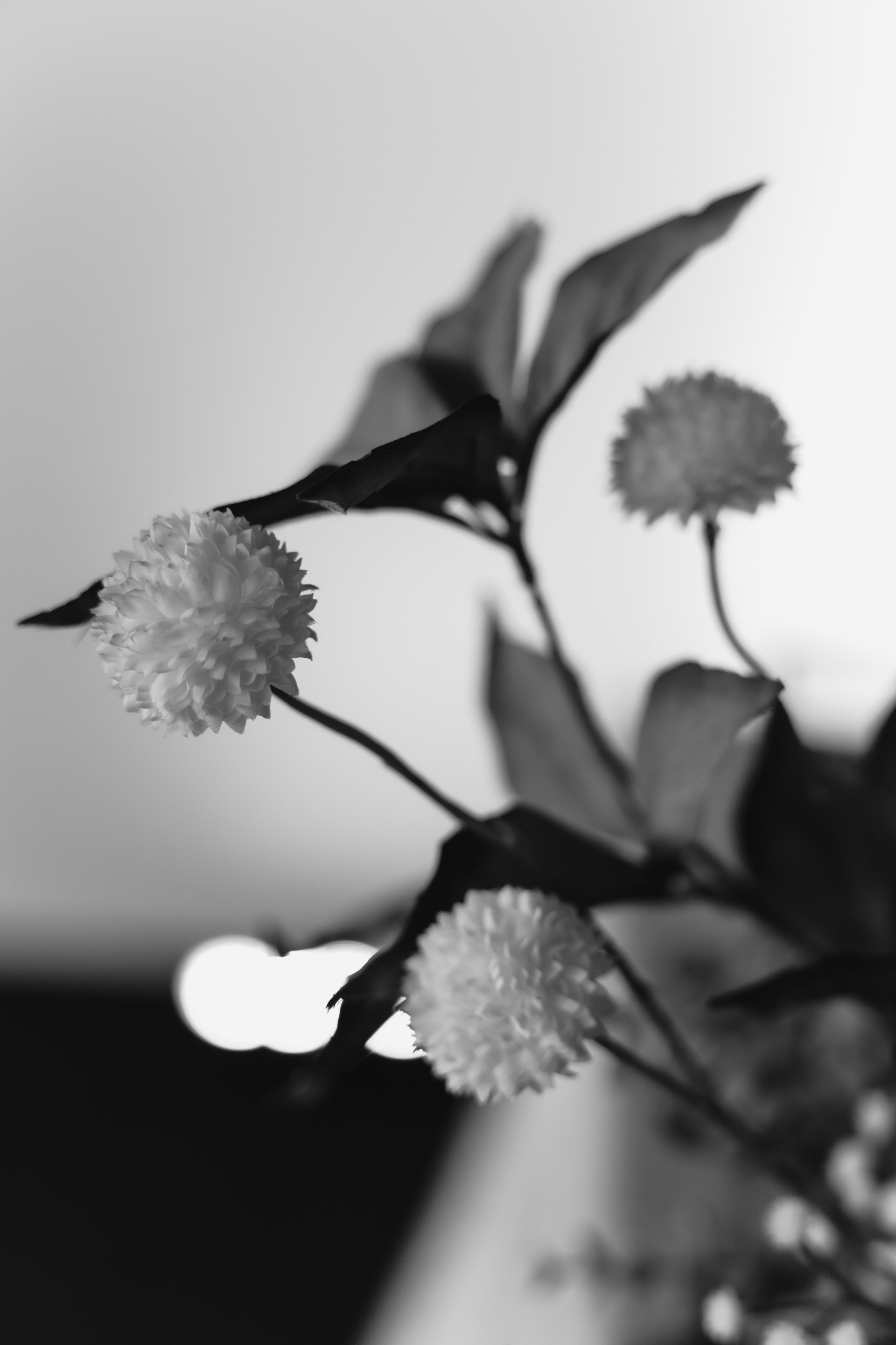 Николай и Валерия. Фотограф Москва, Санкт-Петербург, Абакан