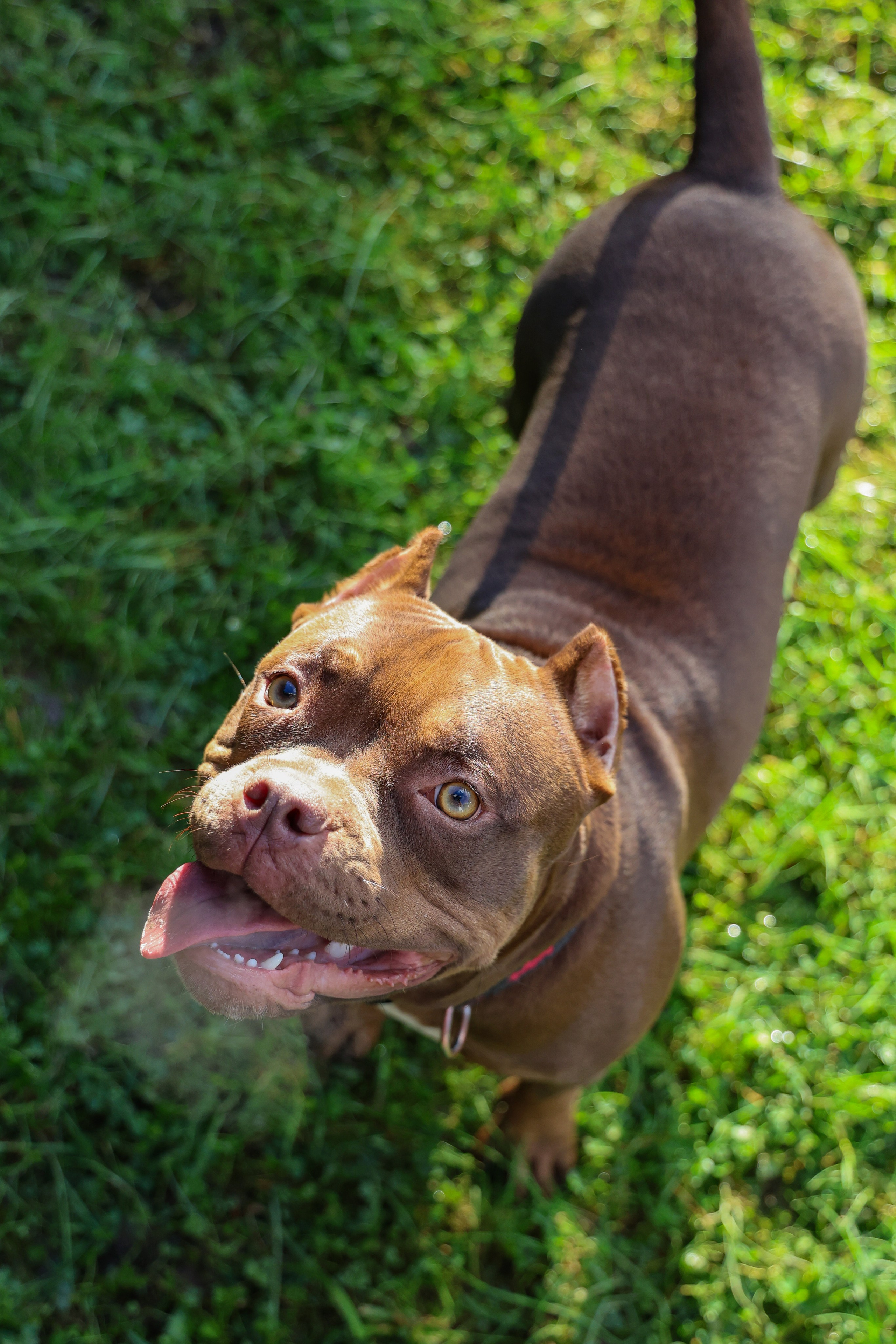 Амина. Валерия Гуртовая | Фотограф, Санкт-Петербург