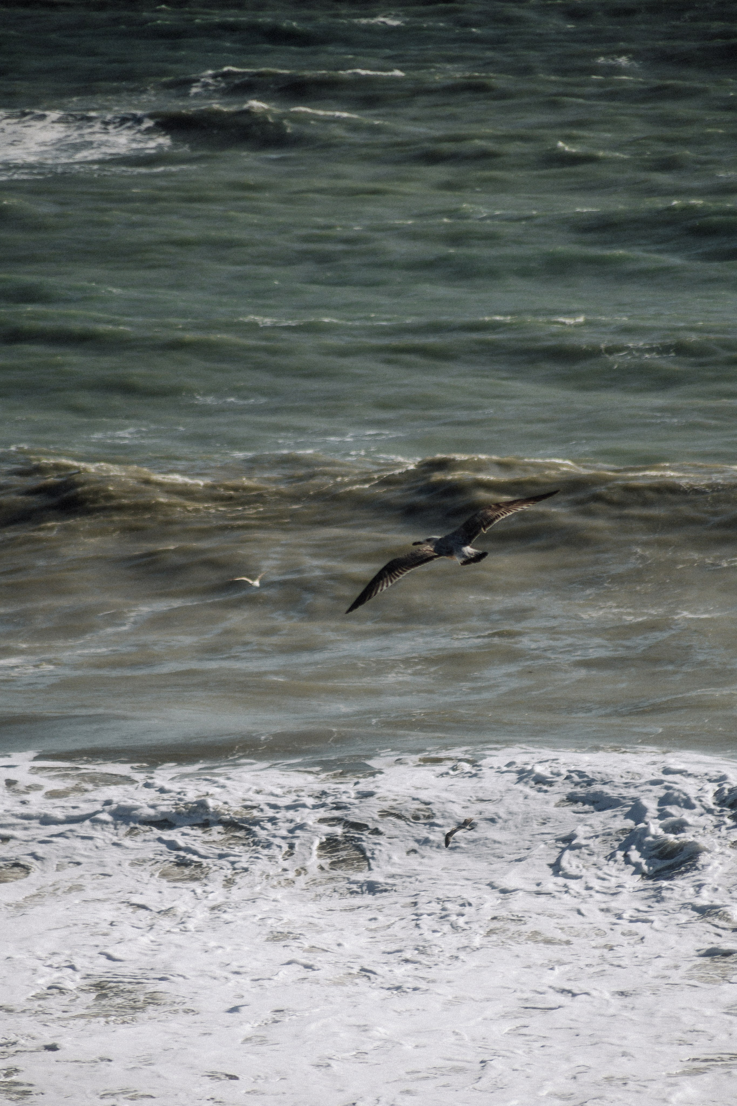 Олег и Алина. Фотограф в Крыму | Виктория Нотевская