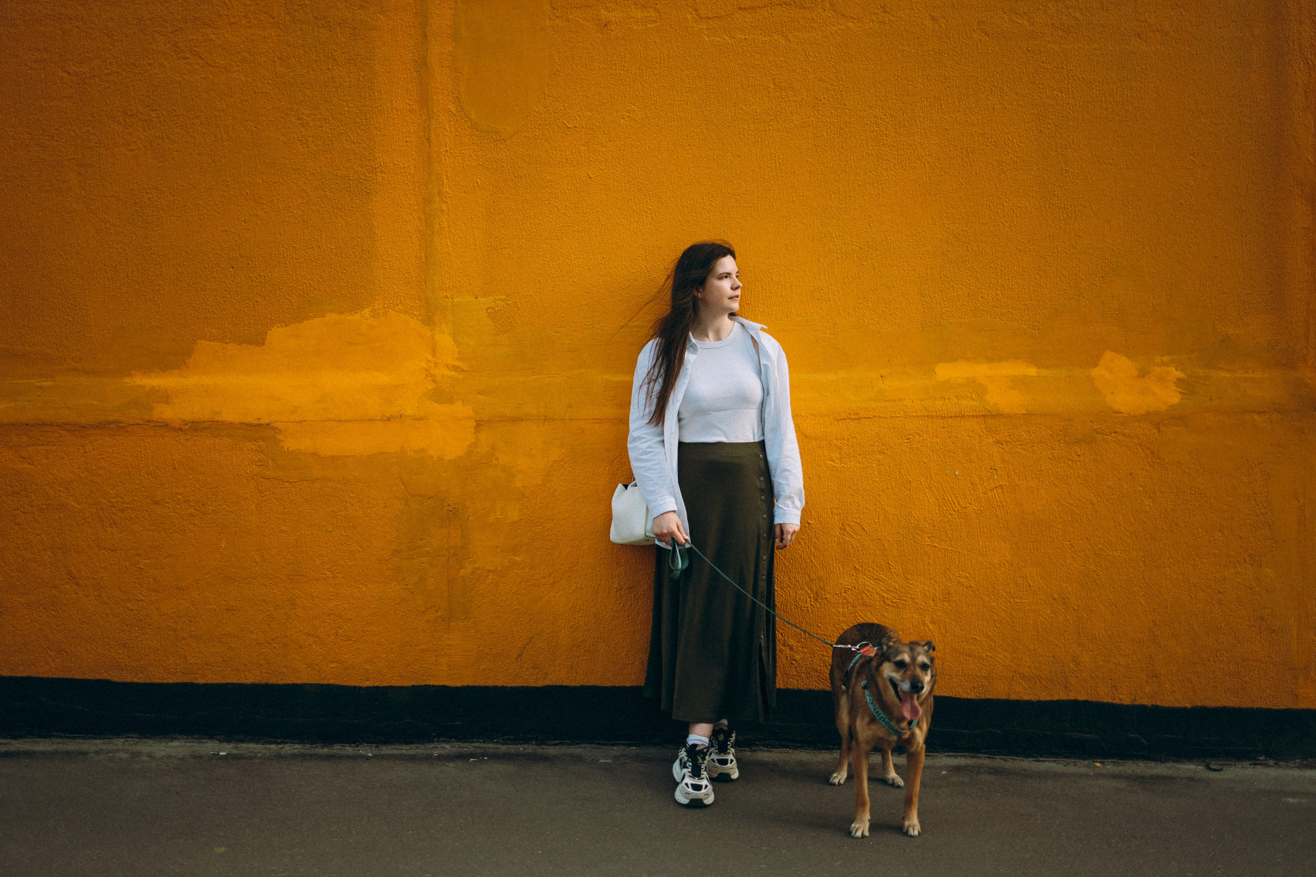 Глаша, Айрон, Ксюша и Оля. Фотограф анималист Анастасия Пикей