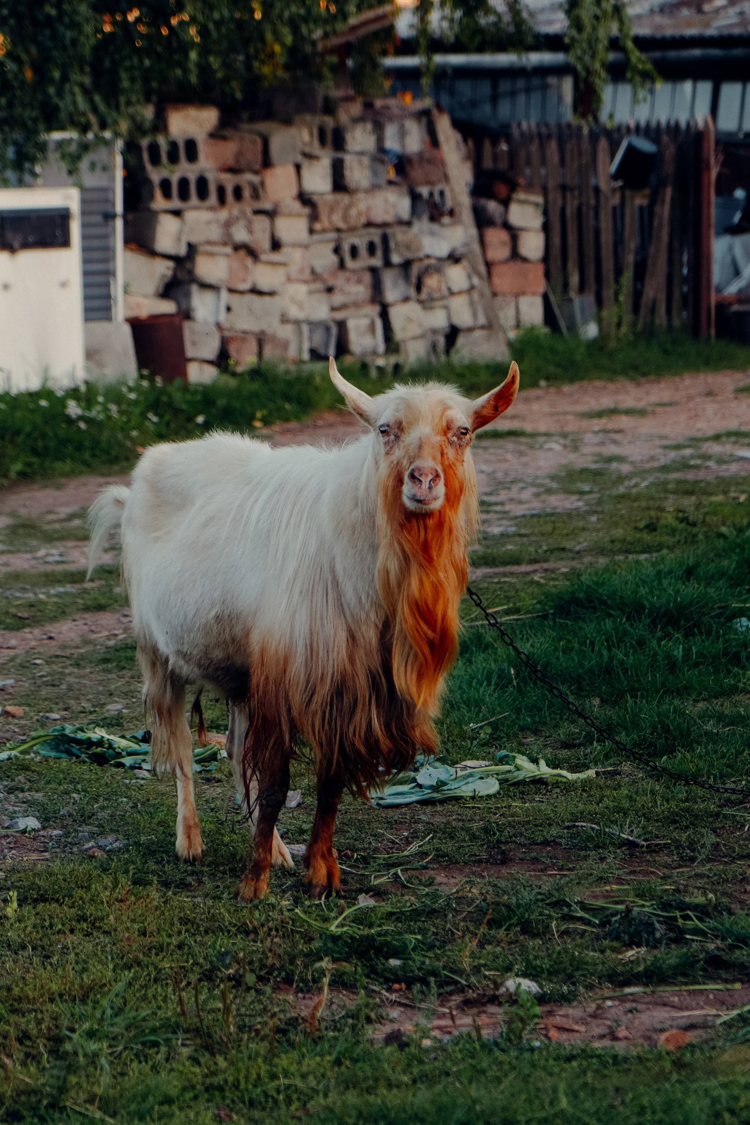 Сухой лог, Сентябрь 2023