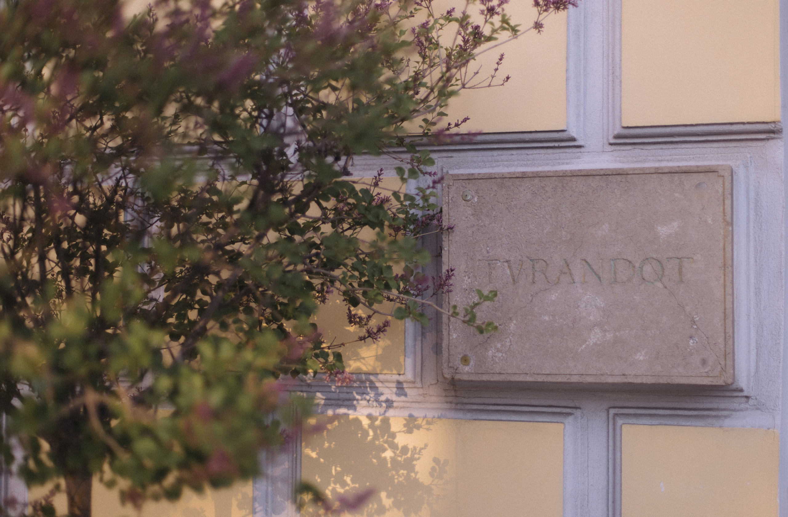 Две страны — одна любовь