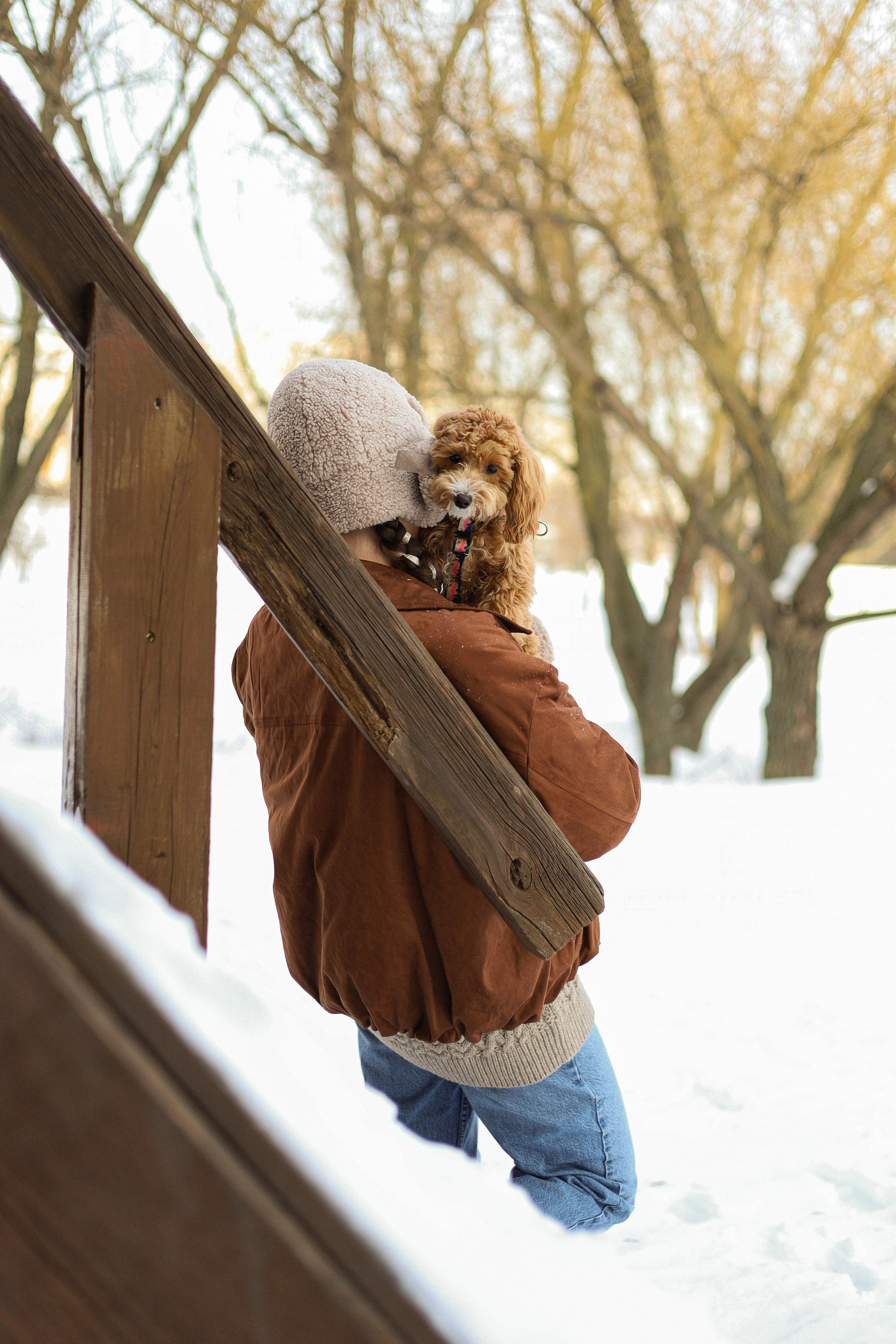 Вики и Ева. Фотограф-анималист Ксения Шевцова|Москва