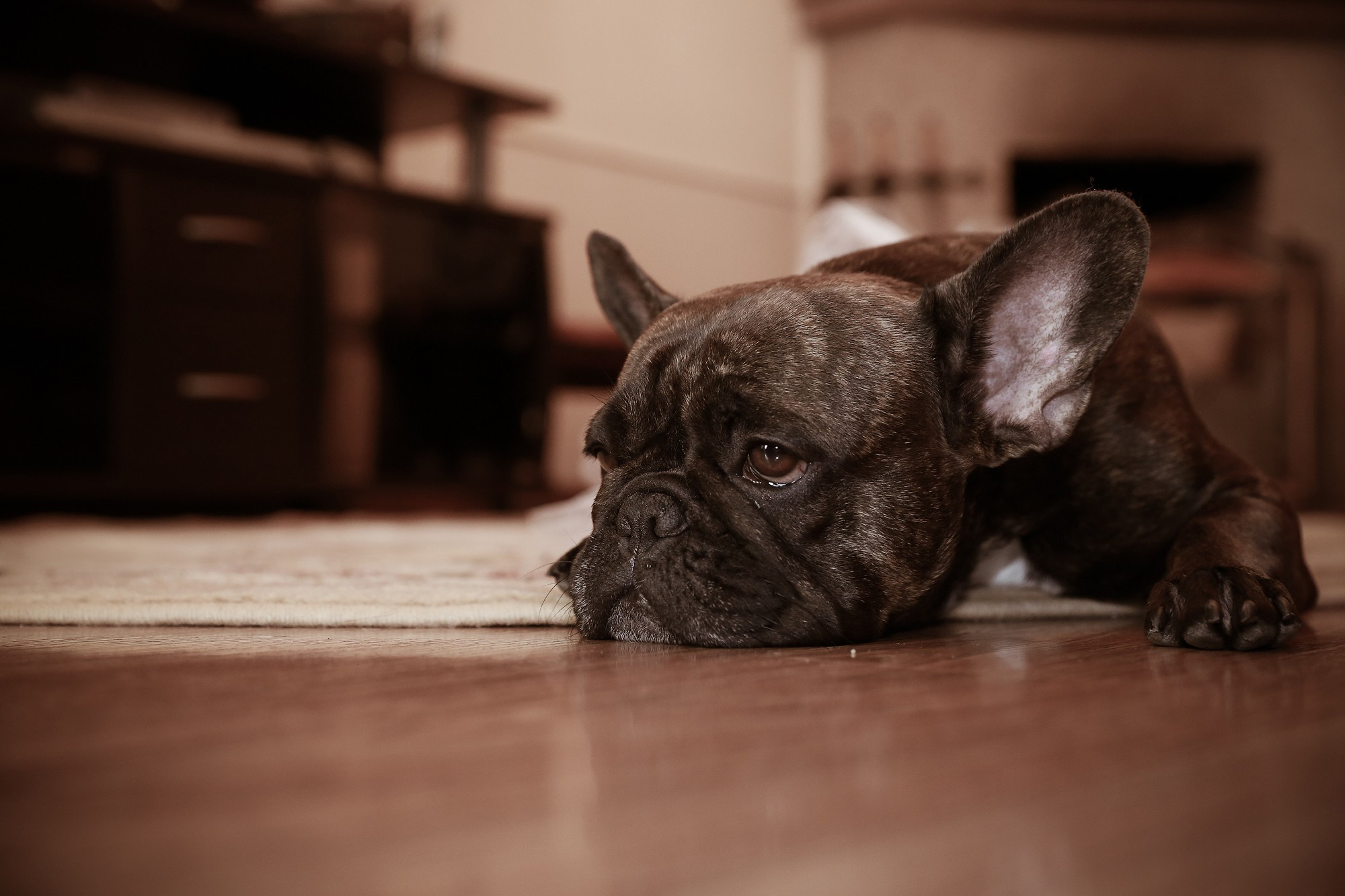 Алексей & Валерия. Свадебный и семейный фотограф из Ессентуков Выприцкий Роман