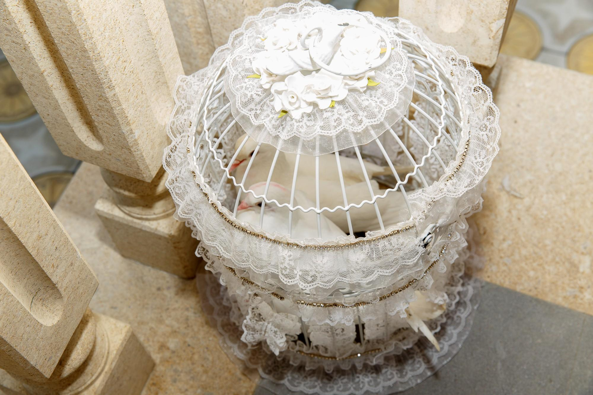 Михаил & Элина. Свадебный и семейный фотограф из Ессентуков Выприцкий Роман