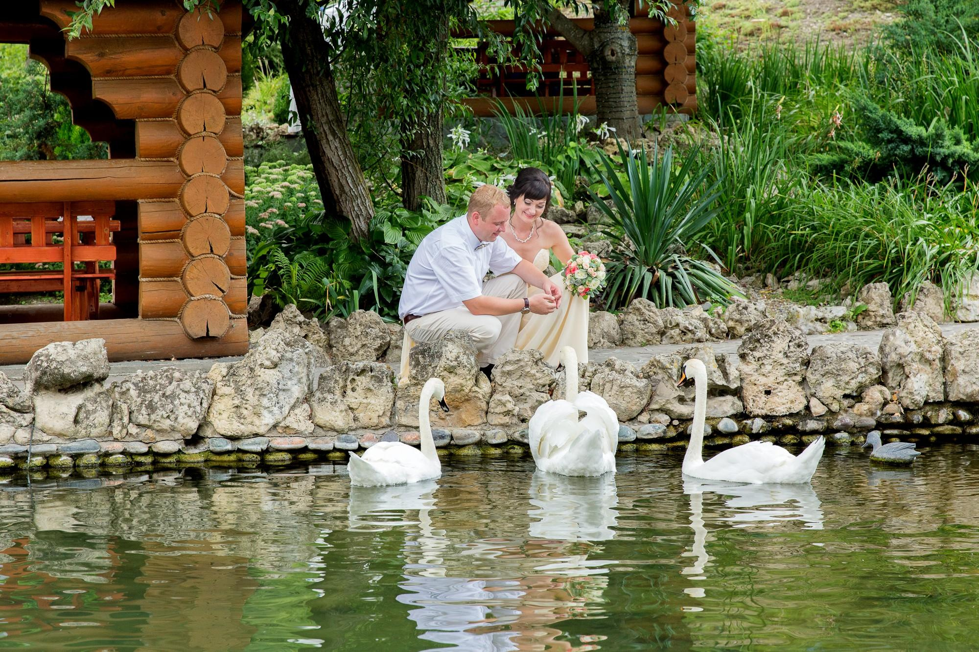 Сергей & Надежда. Свадебный и семейный фотограф из Ессентуков Выприцкий Роман
