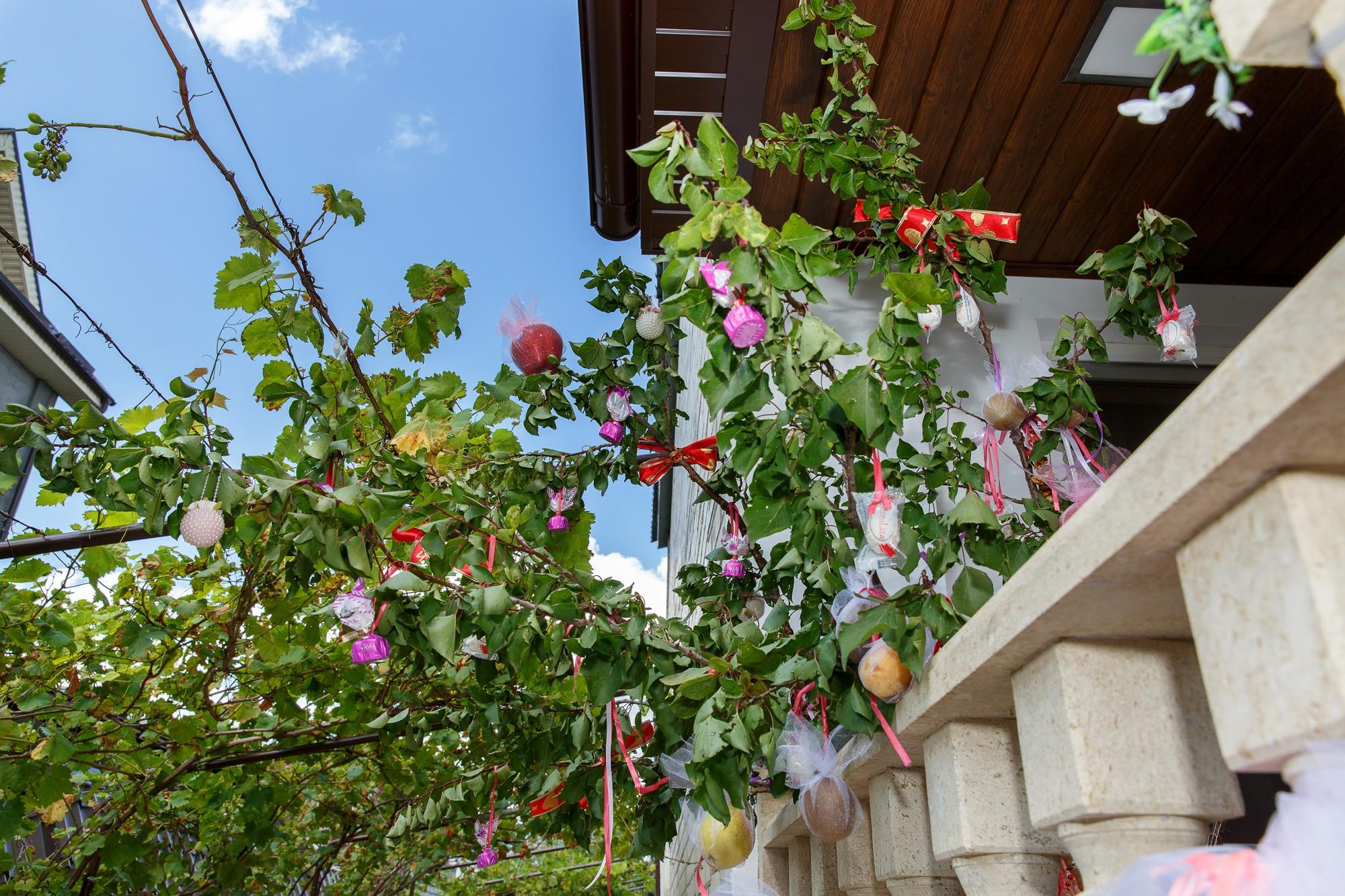 Михаил & Элина. Свадебный и семейный фотограф из Ессентуков Выприцкий Роман