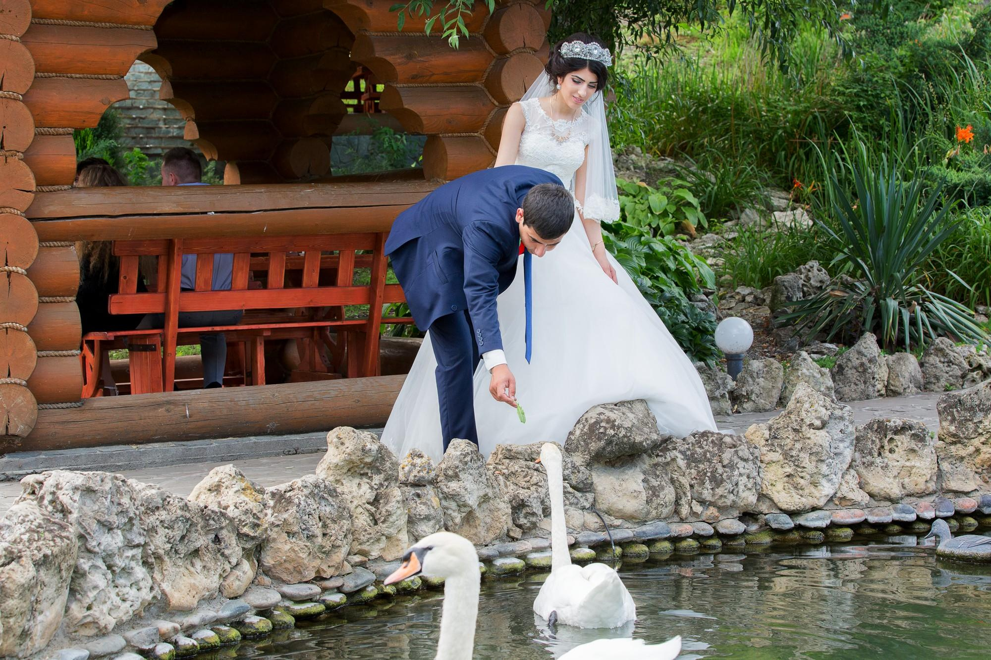 Михаил & Элина. Свадебный и семейный фотограф из Ессентуков Выприцкий Роман