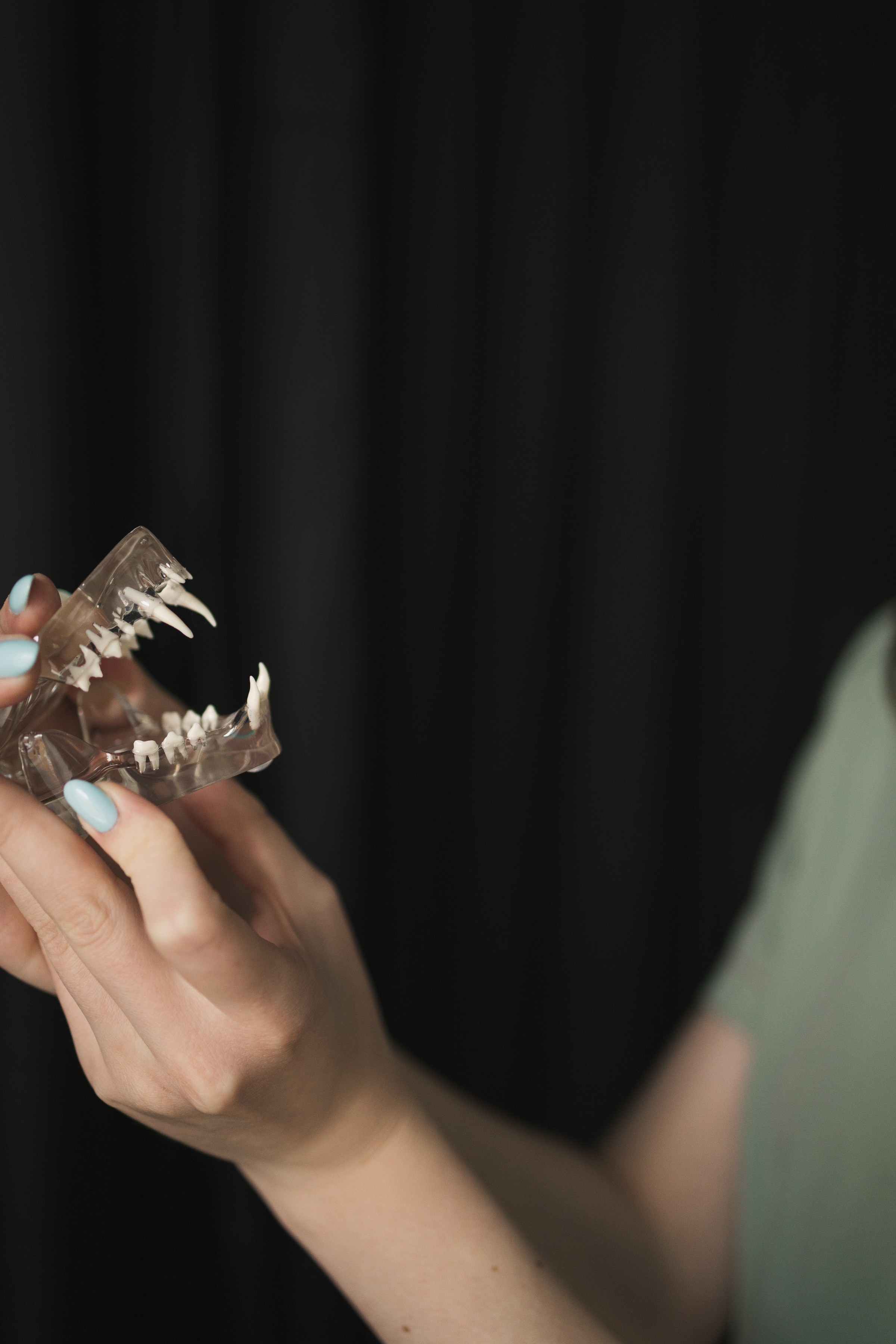 Ветеринар-стоматолог. Портретный фотограф СПб, женский фотограф, минимализм и эстетика