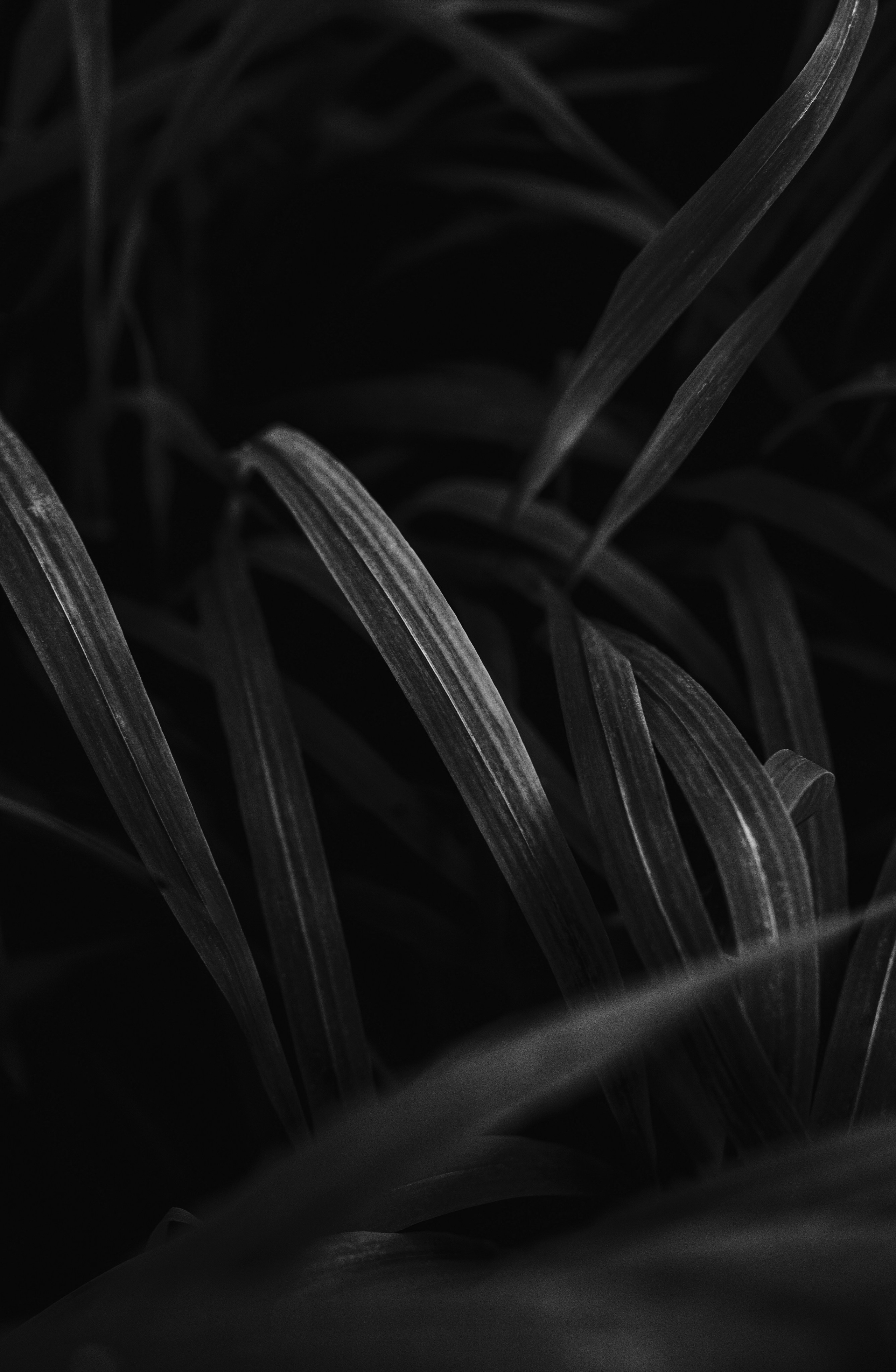 Жизнь. Фотограф Алматы | Весь мир — Никита Колодин