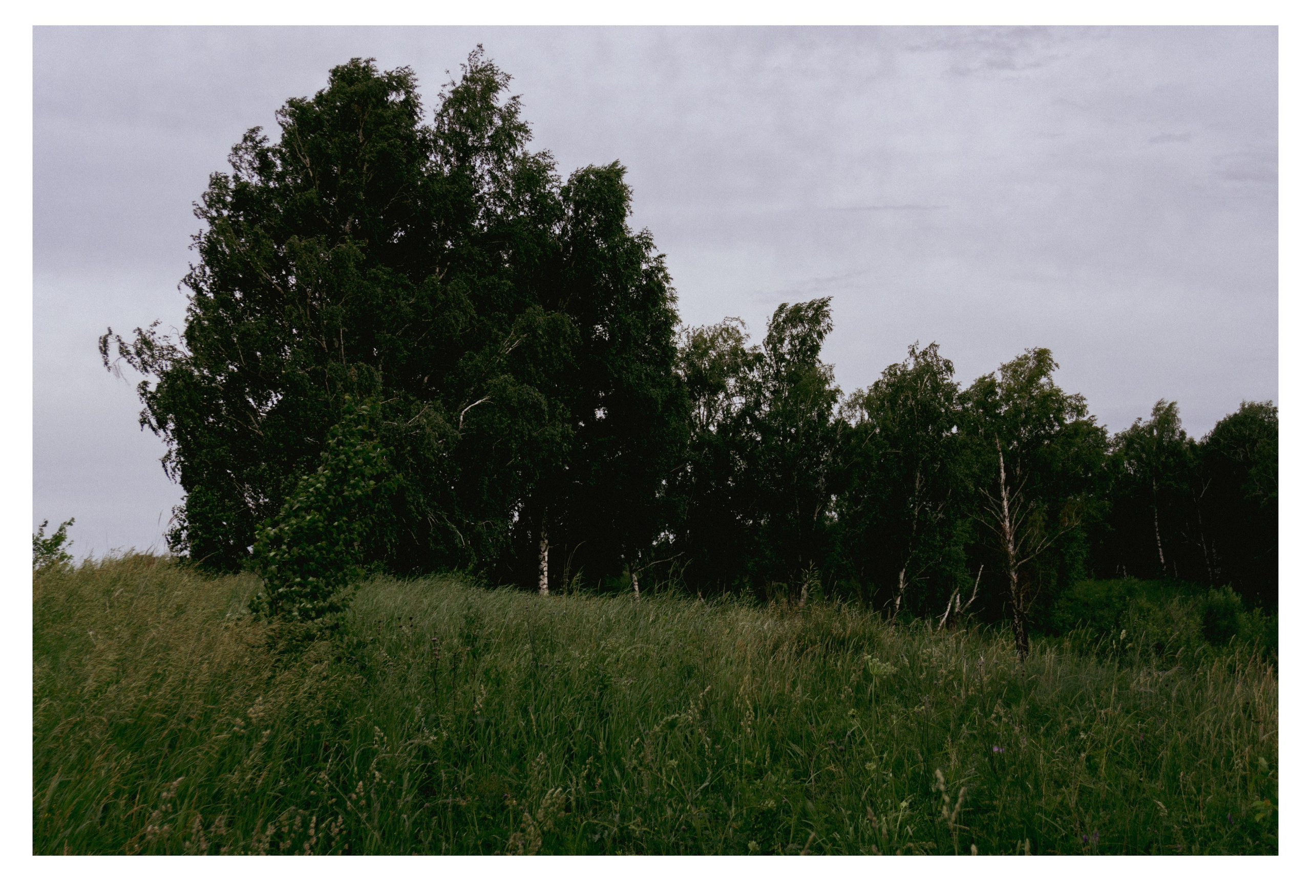 29.06.2025 | Сосновоборск. Kuznetsov | Фотограф в Красноярске