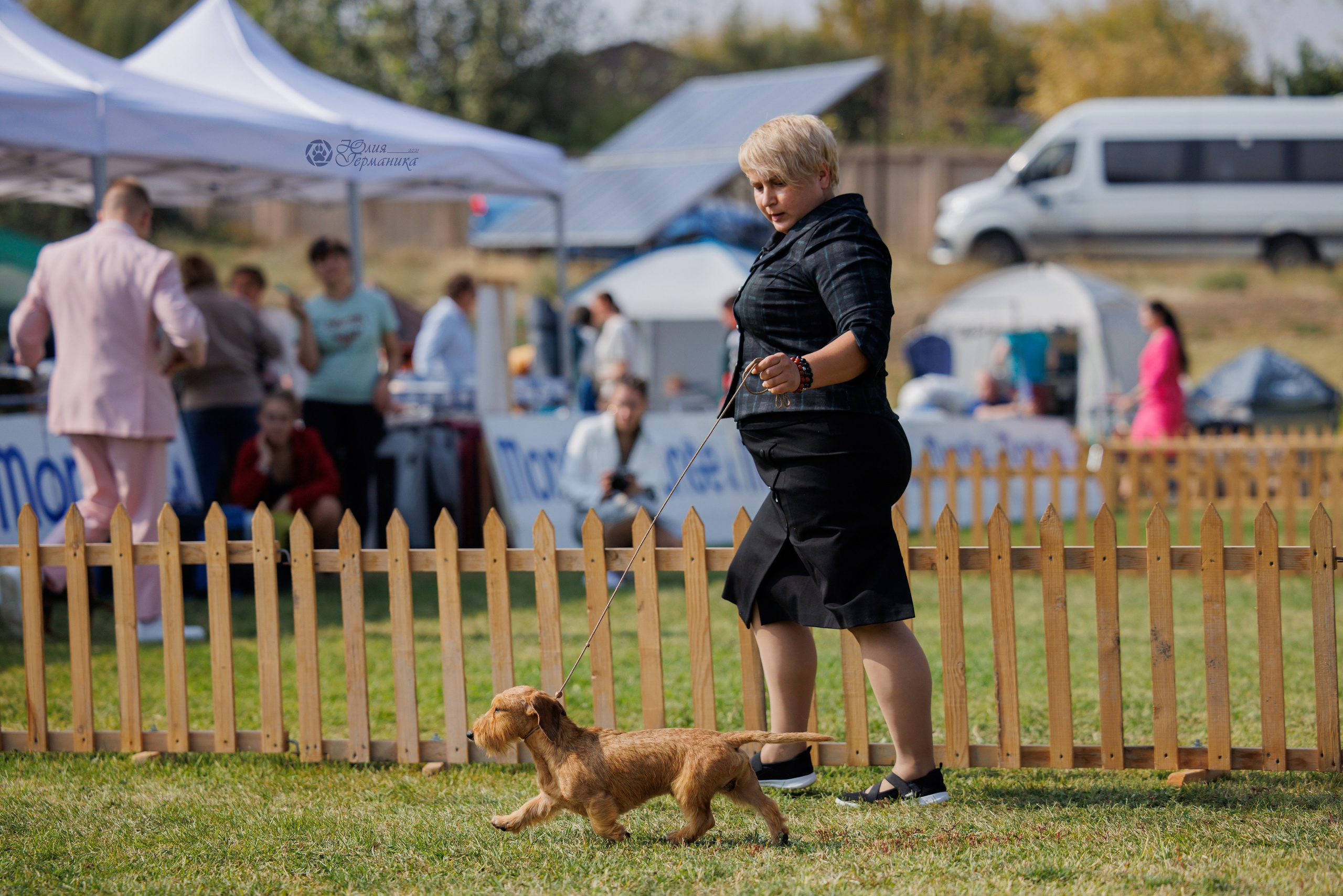 Армения,Ереван 3хCACIB 15-17.10.2024. Фотограф-анималист Юлия Германика