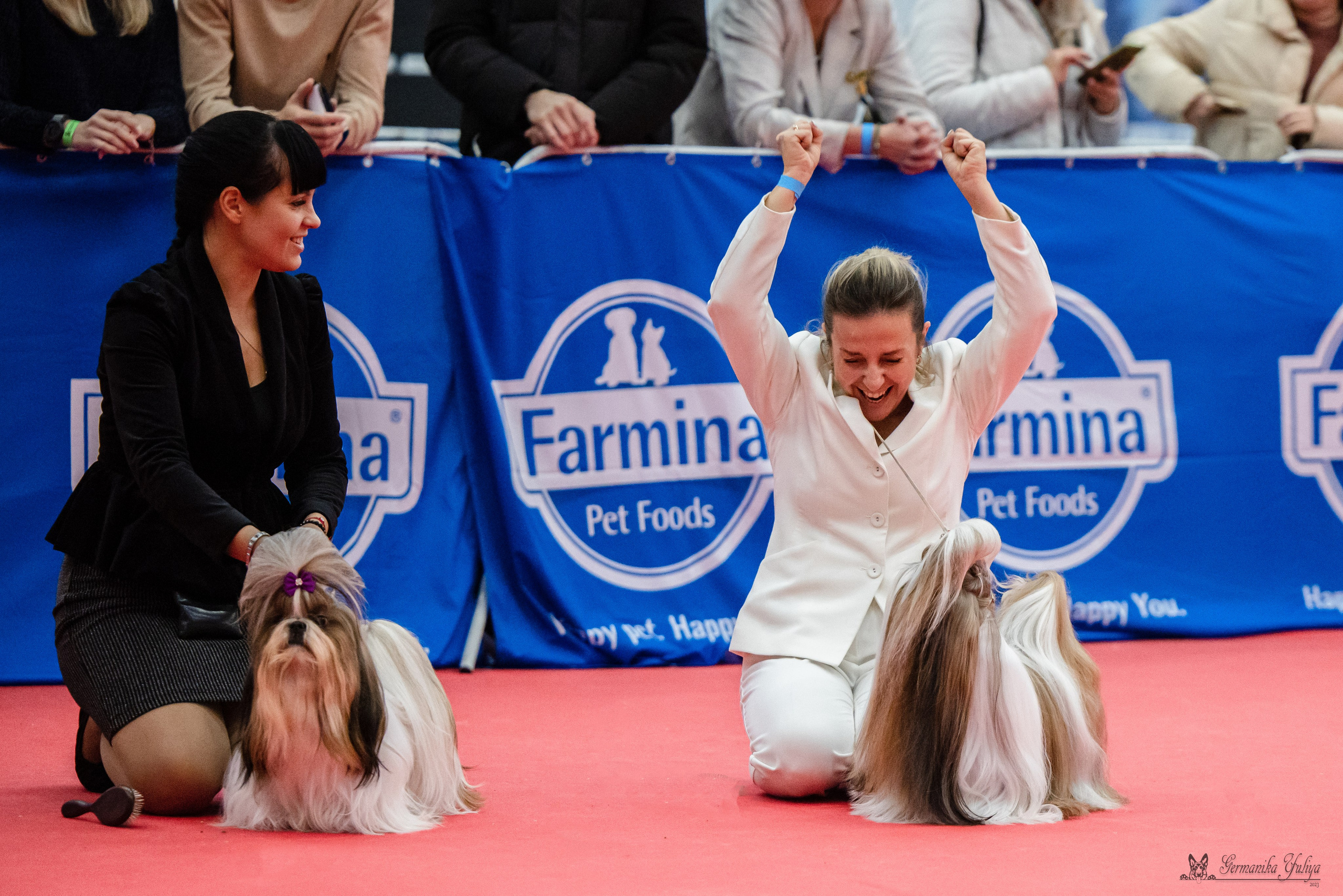 Нижний Новгород 21-22.10.2023. Фотограф-анималист Юлия Германика