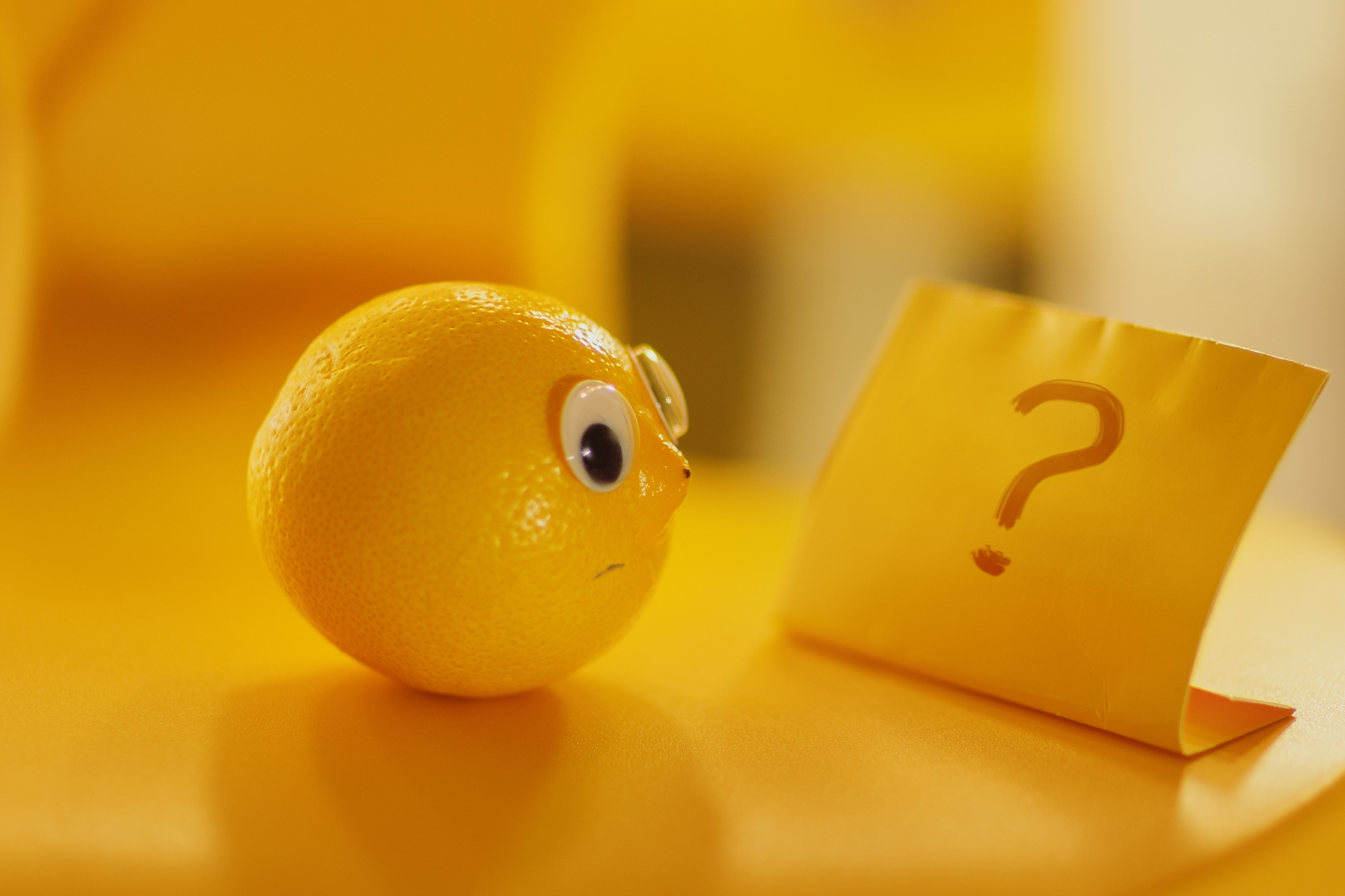 Проект «366»|2024|Фото каждый день. LENA GRACE photographer ||ЛЕНА ГРЭЙС фотограф