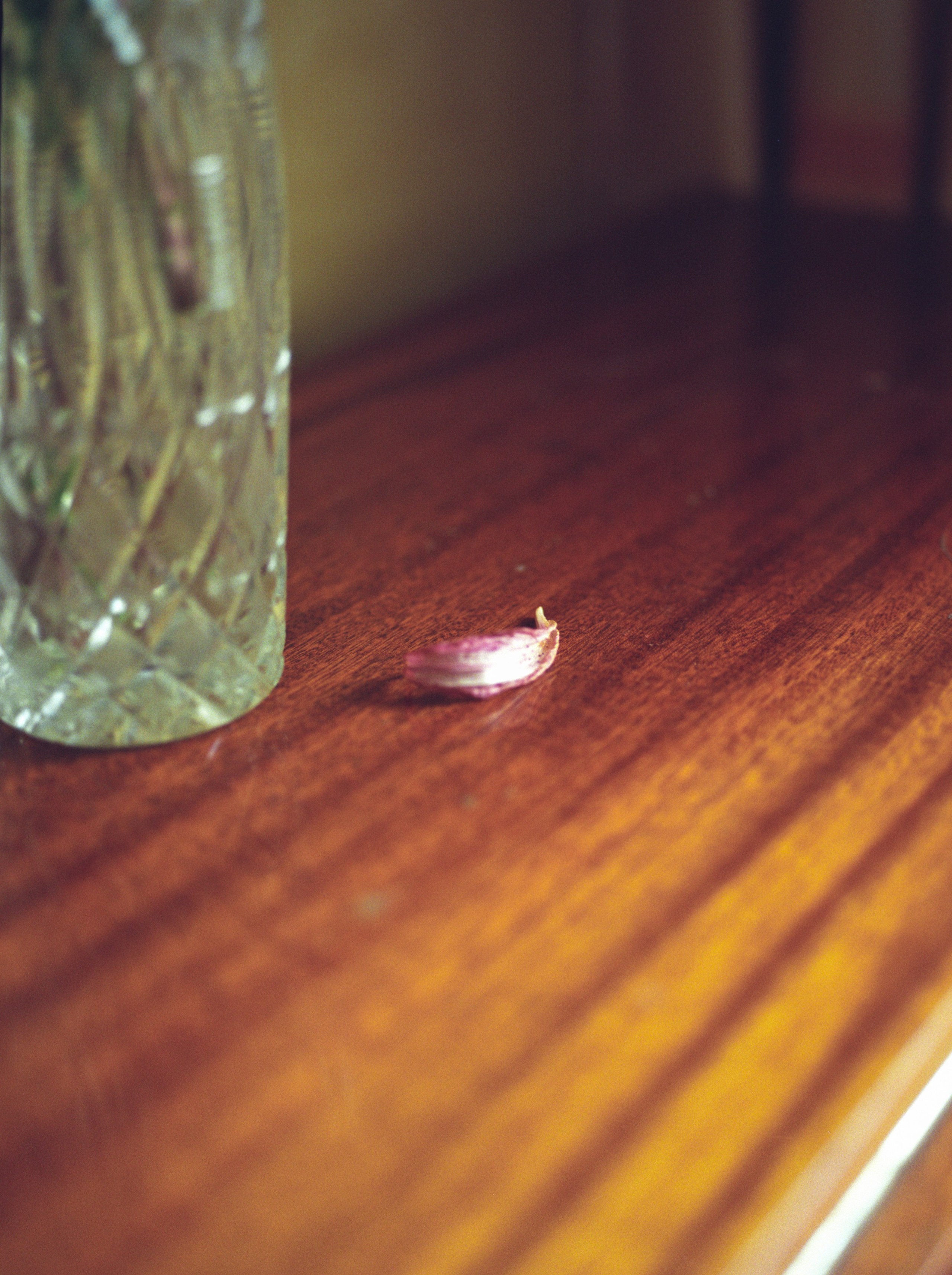 Seeker. Breus Sasha photography & art