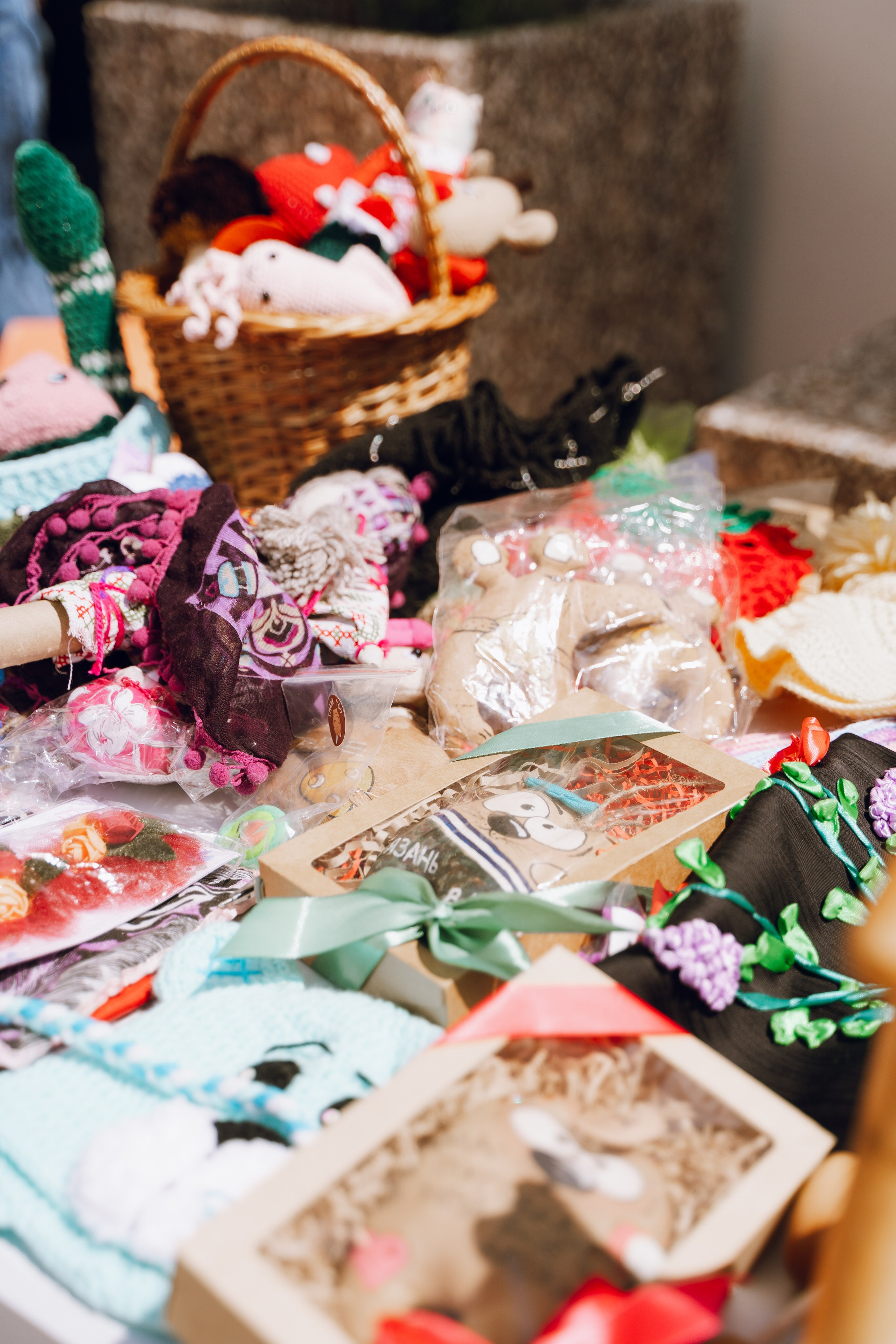 День молодежи в Доме молодежи 2025. Фотограф Надежда Погребняк | Рязань | Москва