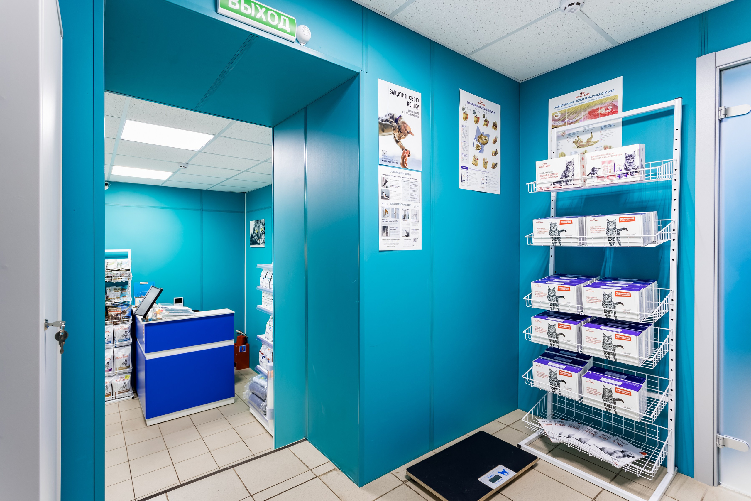 Интерьерная съемка для ветеринарной клиники Прив-вет. Интерьеры, Контент, Портреты | Фотограф в Москве Дани Терно