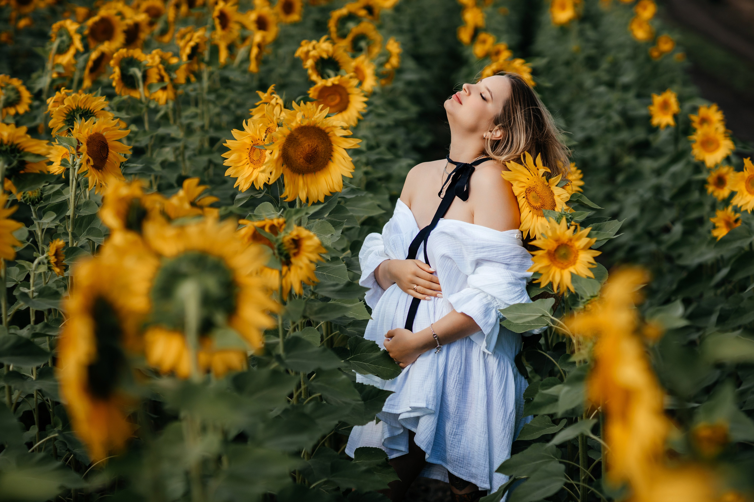 Подсолнухи, Тюмень. Свадебный и семейный фотограф. Фототуры по всему миру
