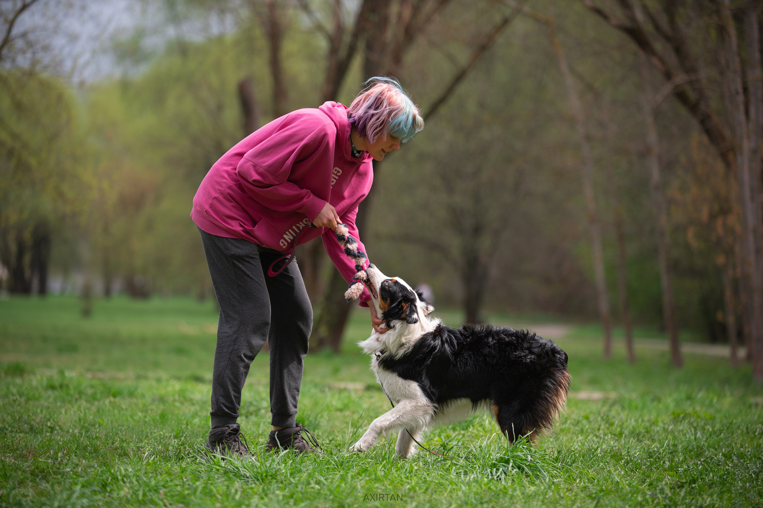 Синдра. BLGKV питомник собак