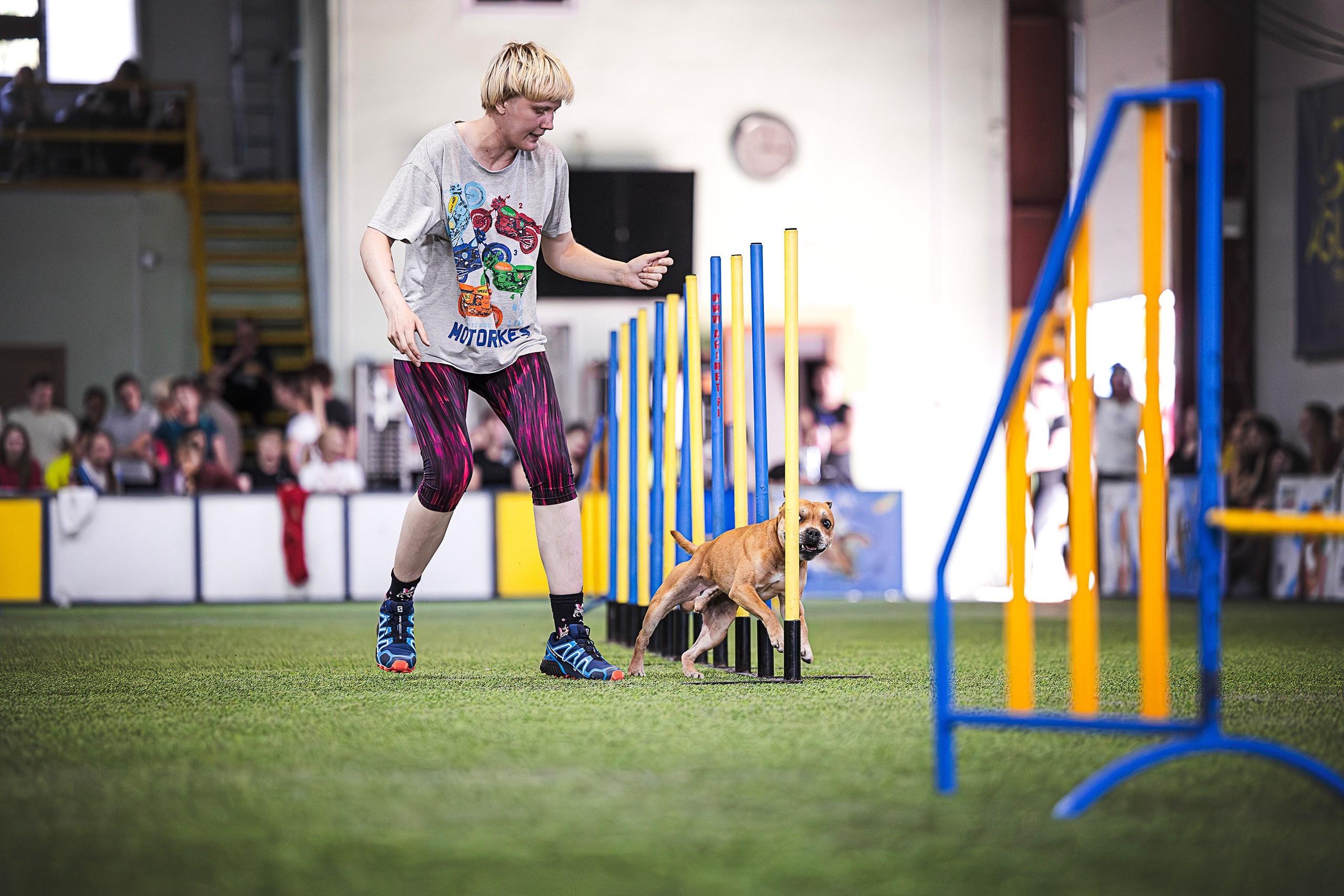 Шмель. BLGKV питомник собак