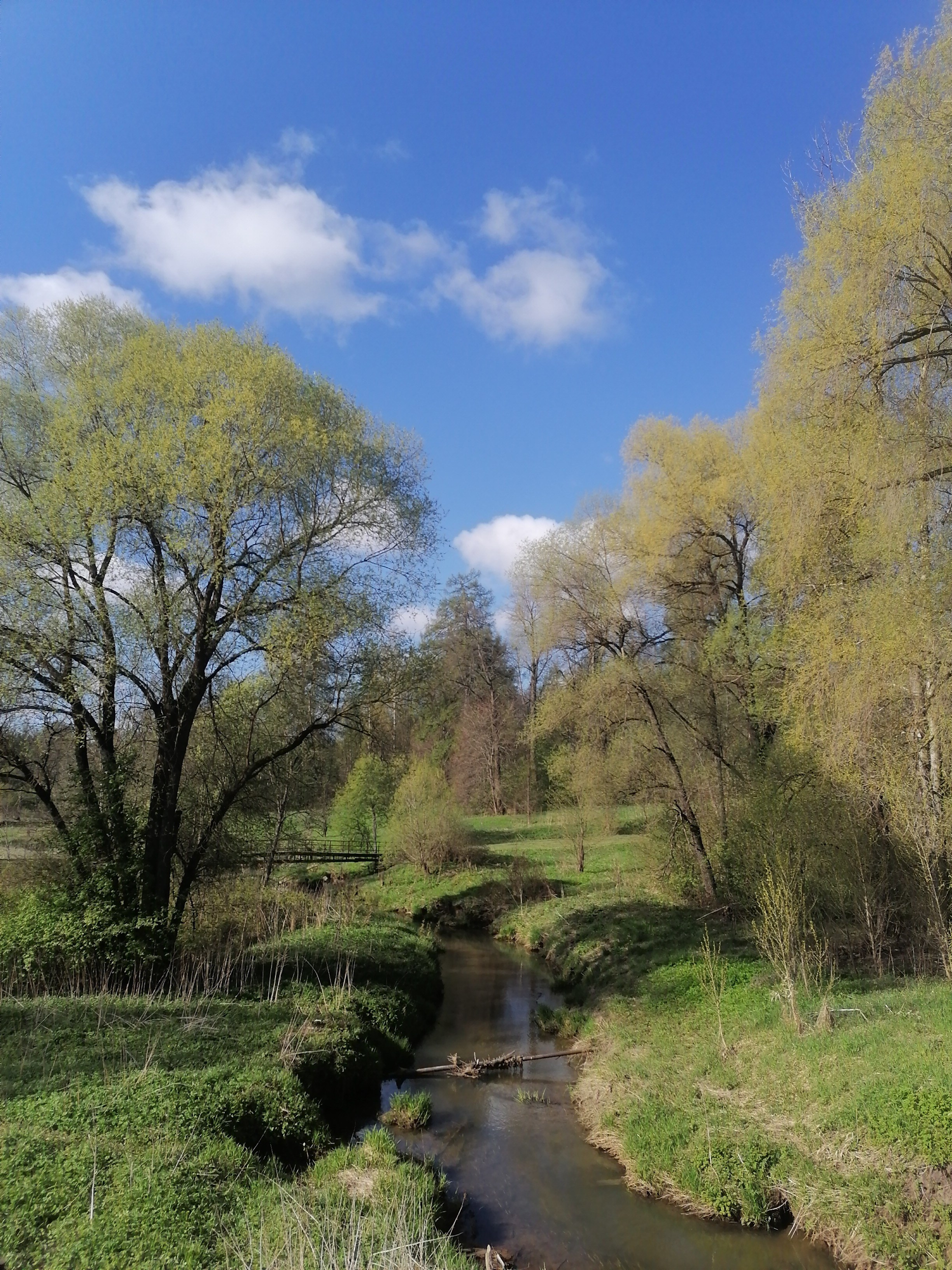 Пейзаж. Фотограф Наталья Туева FineArt съёмка