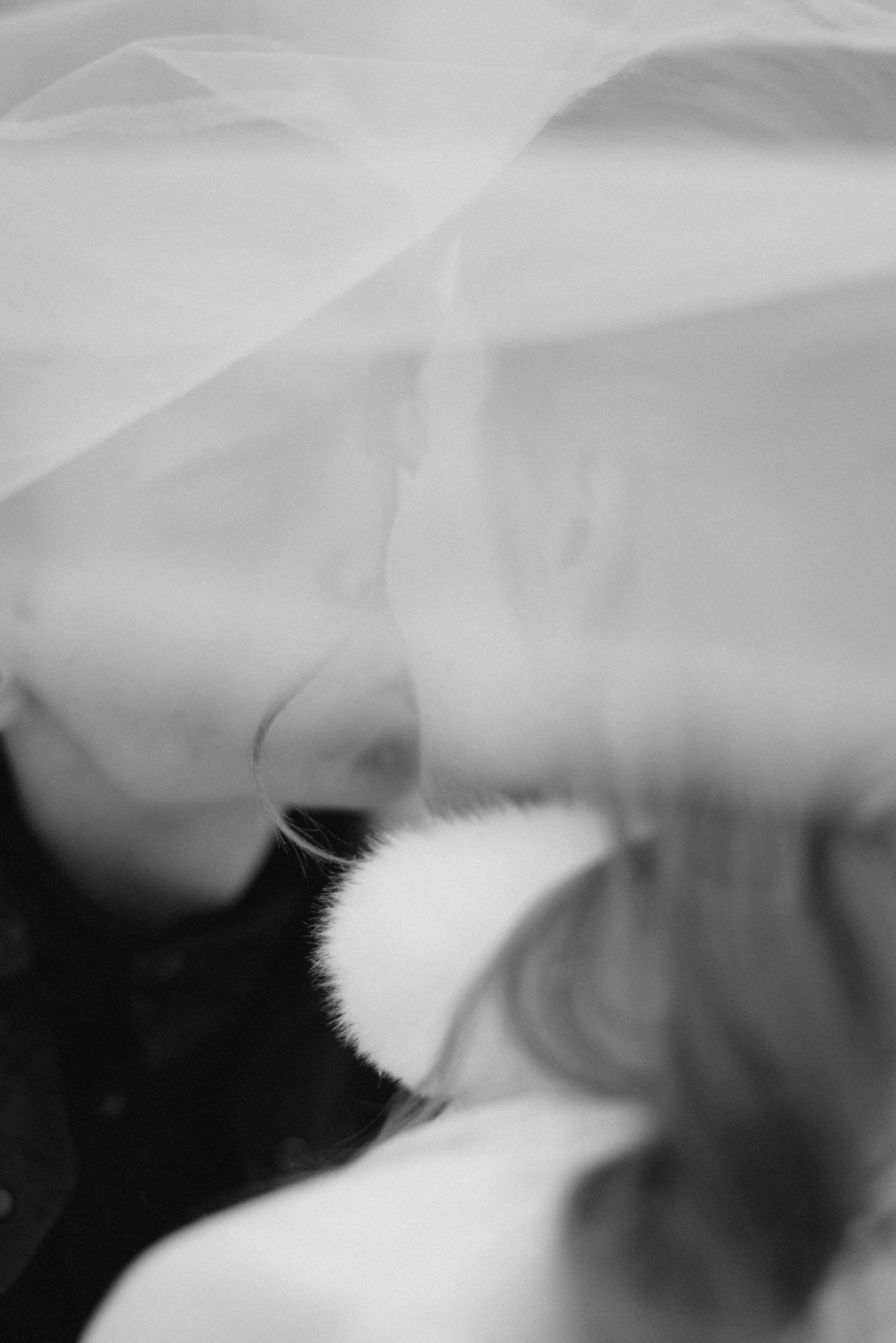 На морозе. Фотограф Лола Волна, город Москва