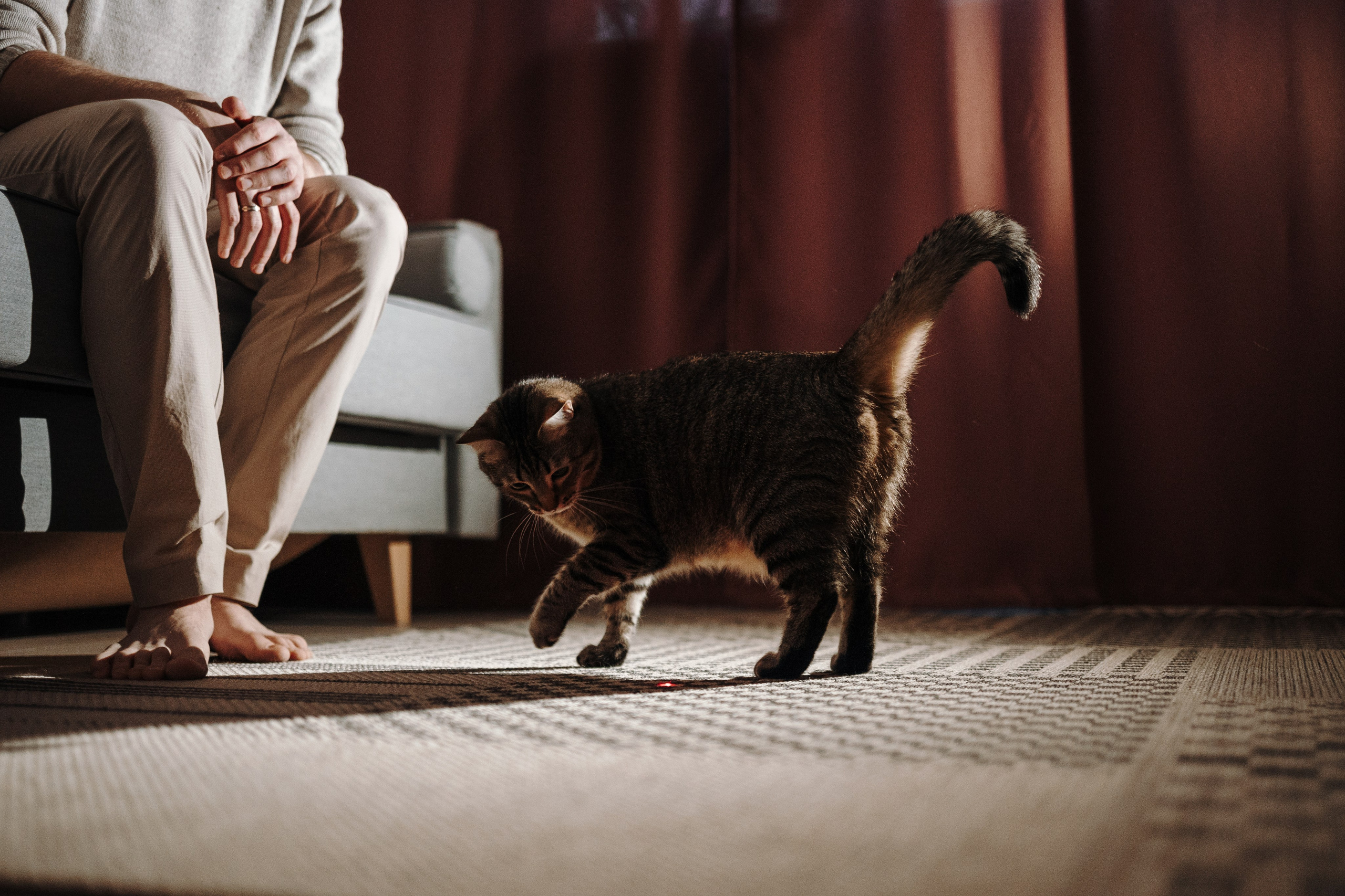 Мася и ее семья. Фотограф — Анималист | Санкт-Петербург