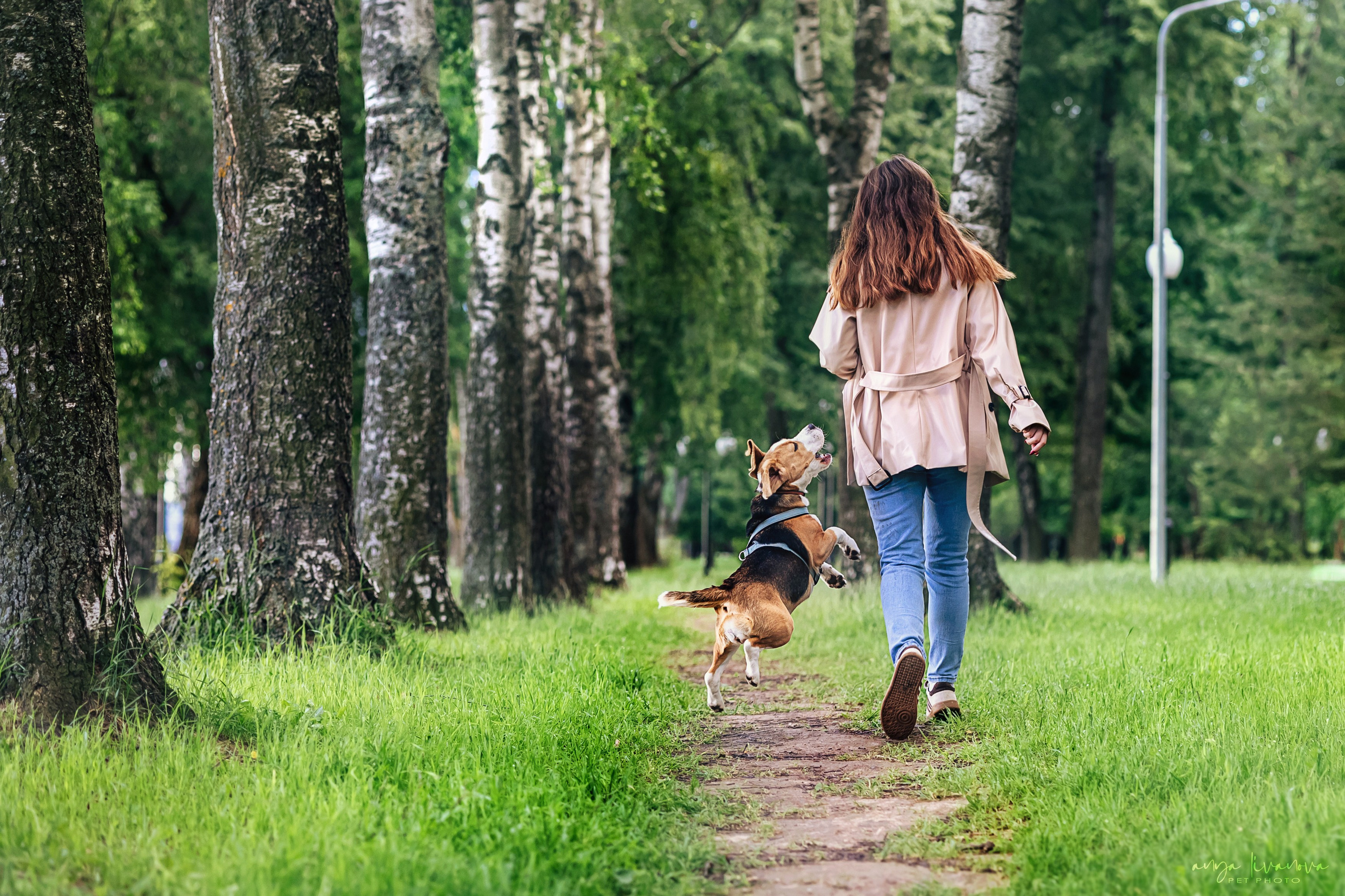 Диана и Дафна. Фотограф анималист Аня Ливанова | Рыбинск