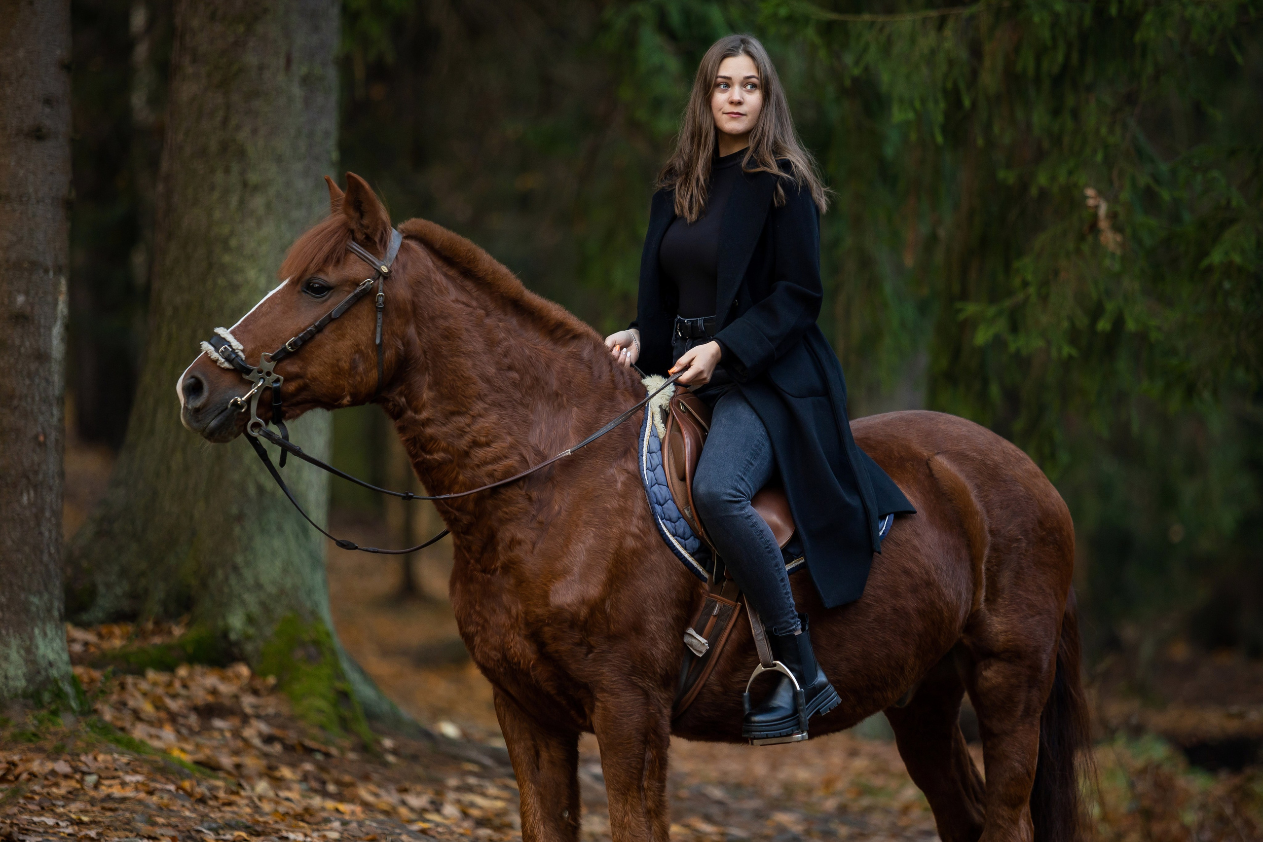 ФОТОСЕССИИ С ЖИВОТНЫМИ. Свадебный фотограф Санкт-Петербург Катерина Ширяева