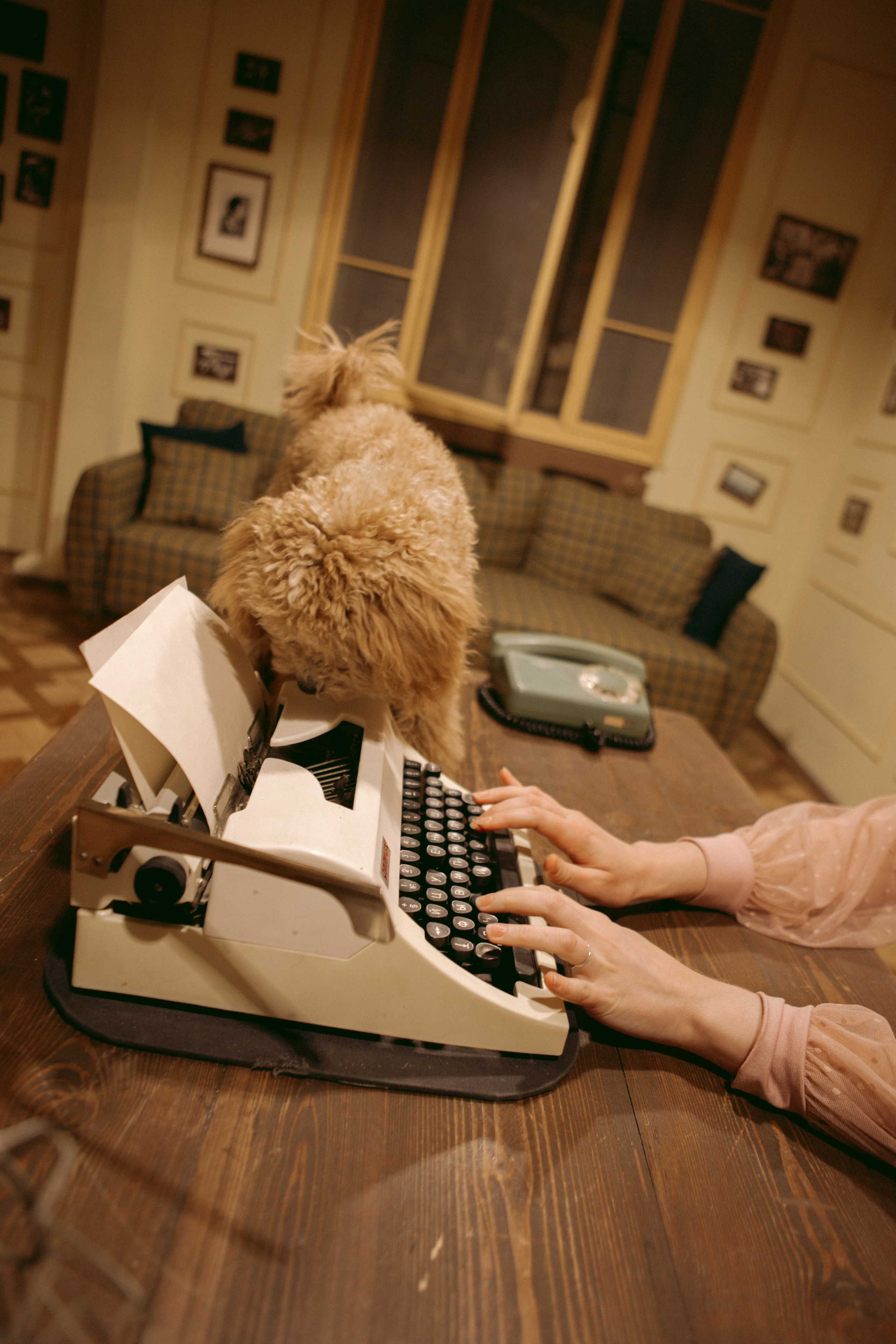 A cinematic daydream in the spirit of Wes Anderson’s style. Portrait, family and pet photographer in Cyprus, Ksenia Bourdelle