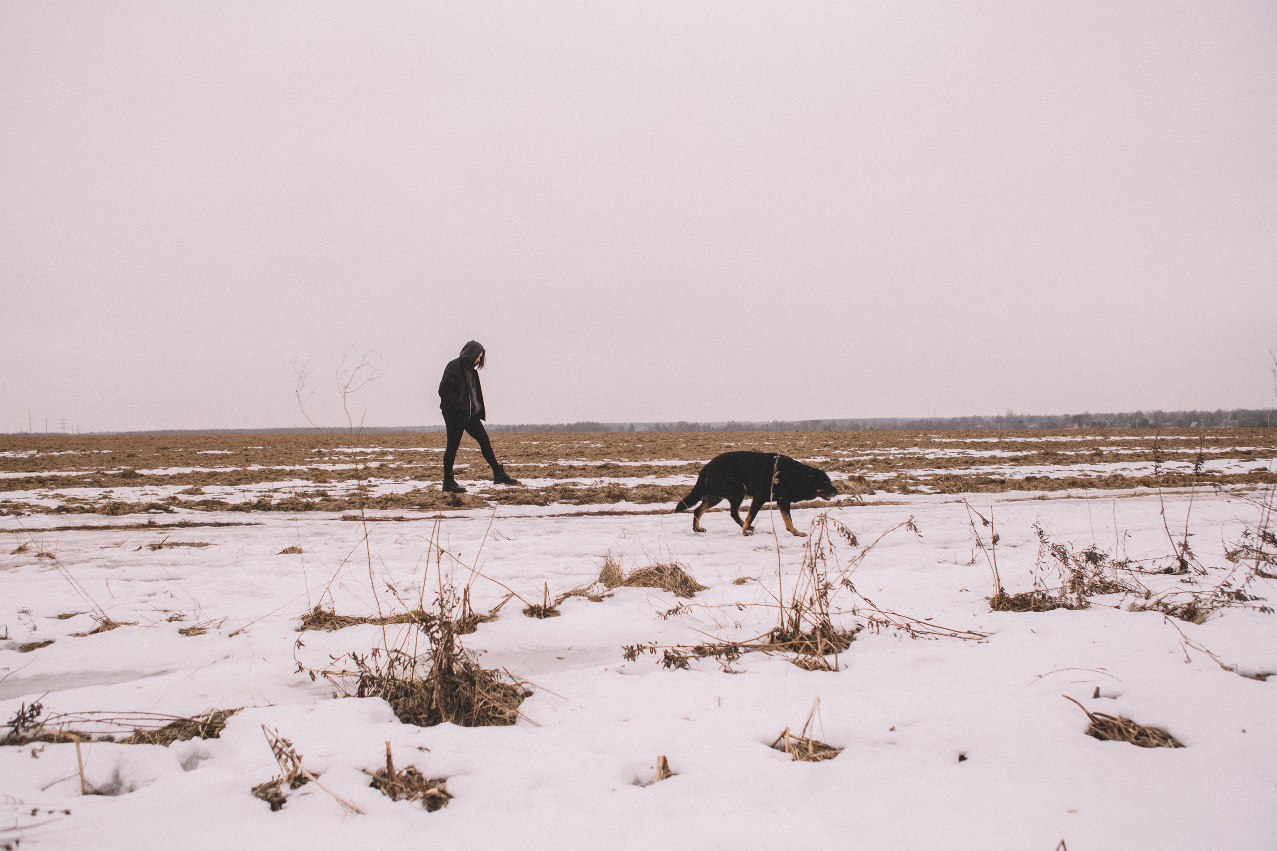 Alyona & Felix. Portrait, family and pet photographer in Cyprus, Ksenia Bourdelle