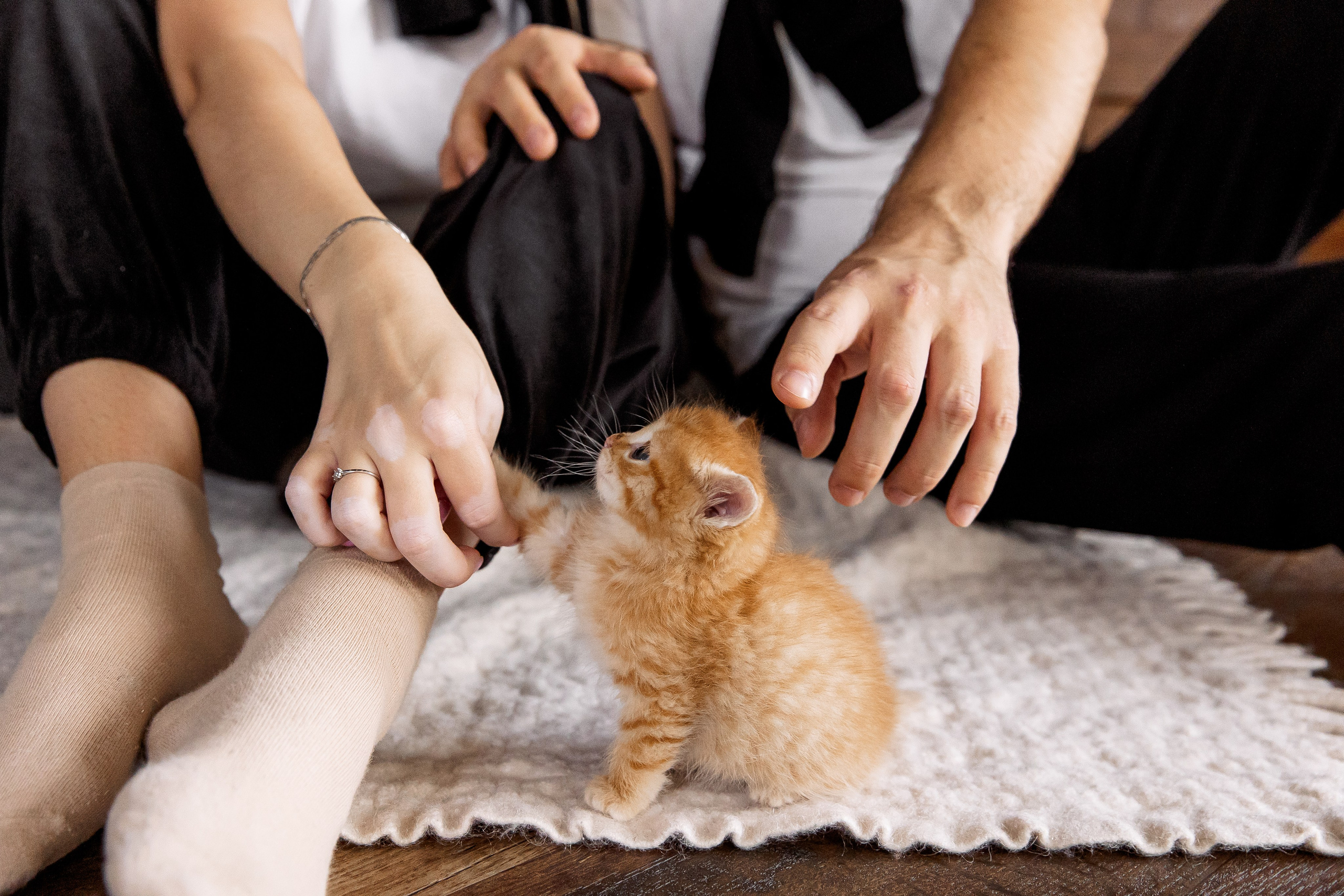 Вадислава и Нитита. Свадебный и семейный фотограф в Челябинске Юлия Ишимова