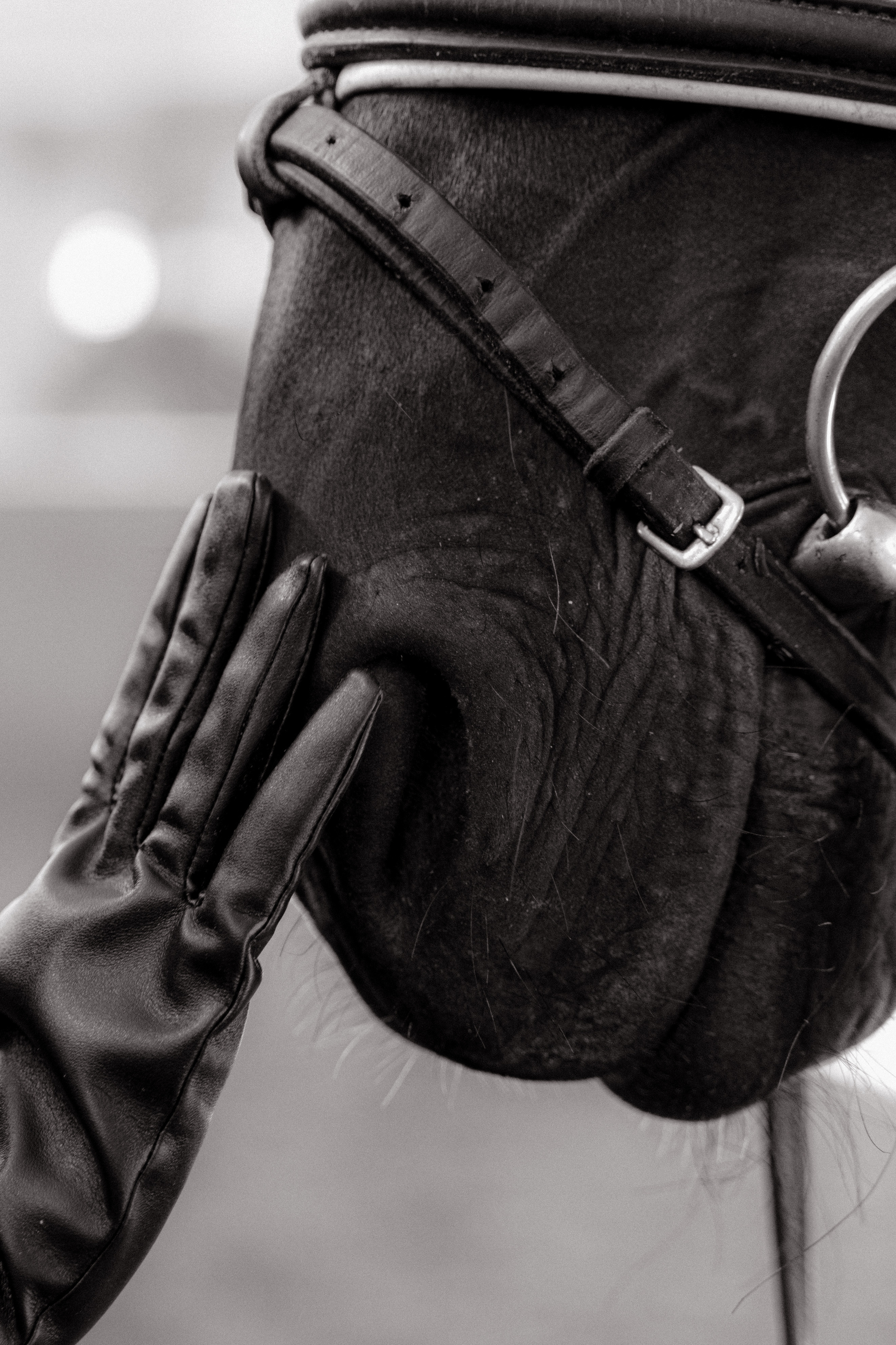 Lisa. Свадебный фотограф  Ростов-на-Дону Моска, Санкт — Петербург