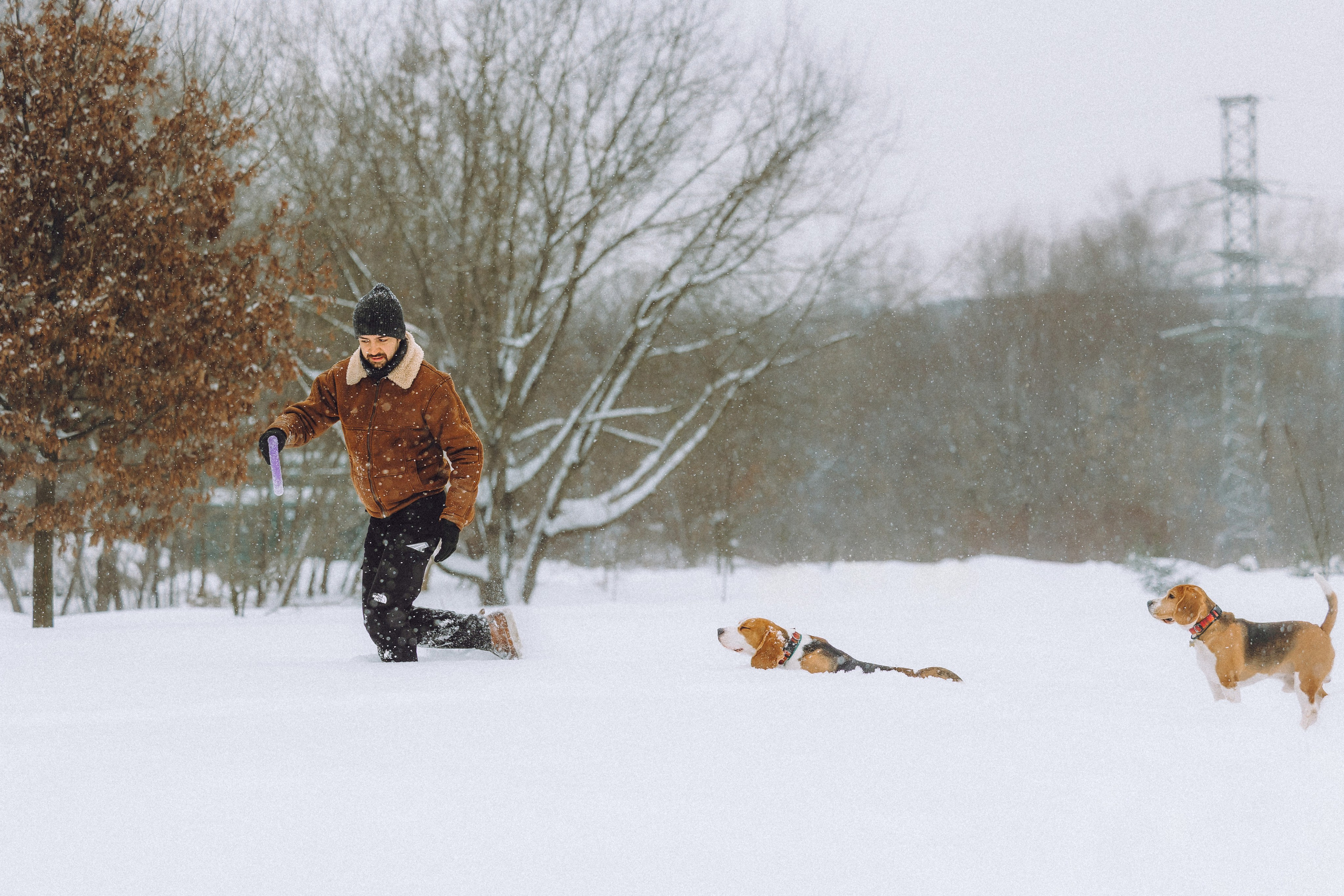 Роман, Портер и Коррес
