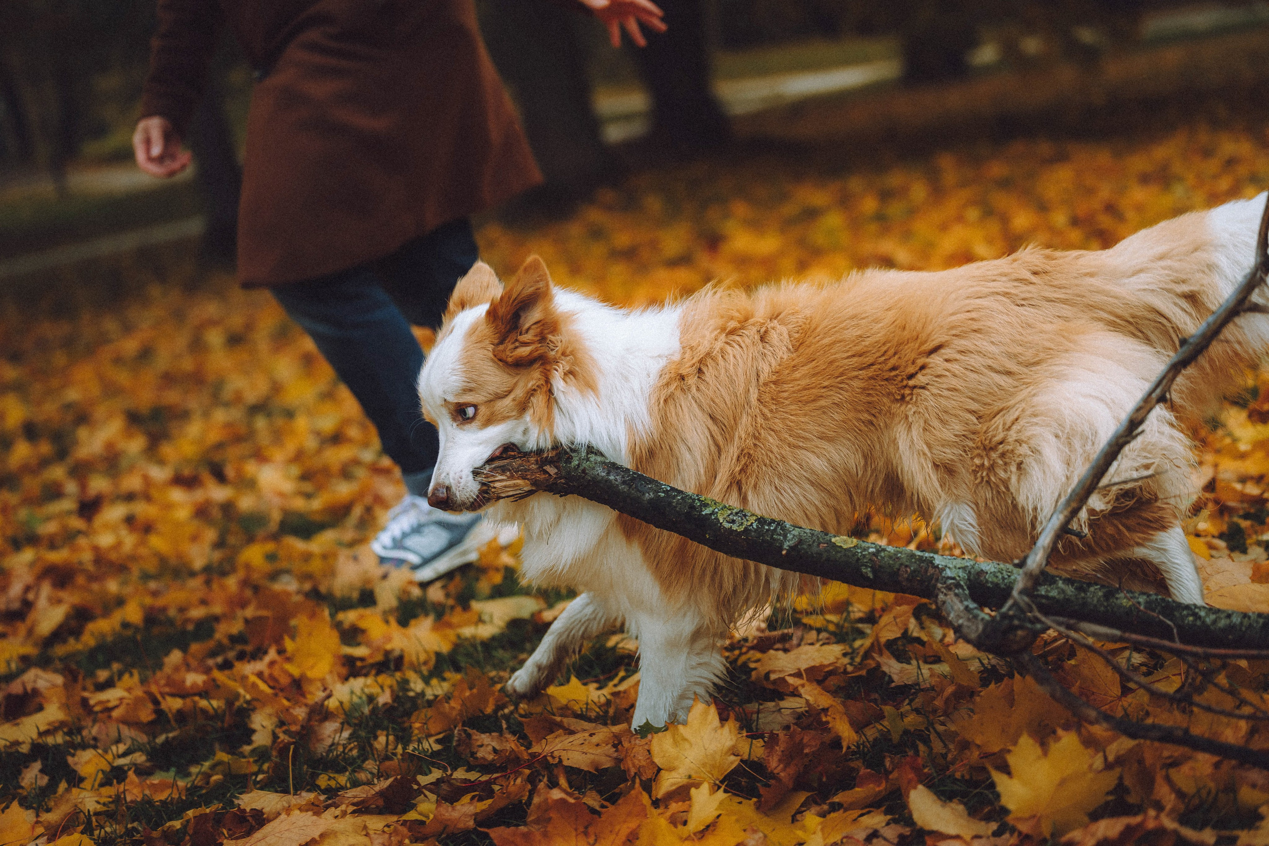 Алина, Витя и Асти