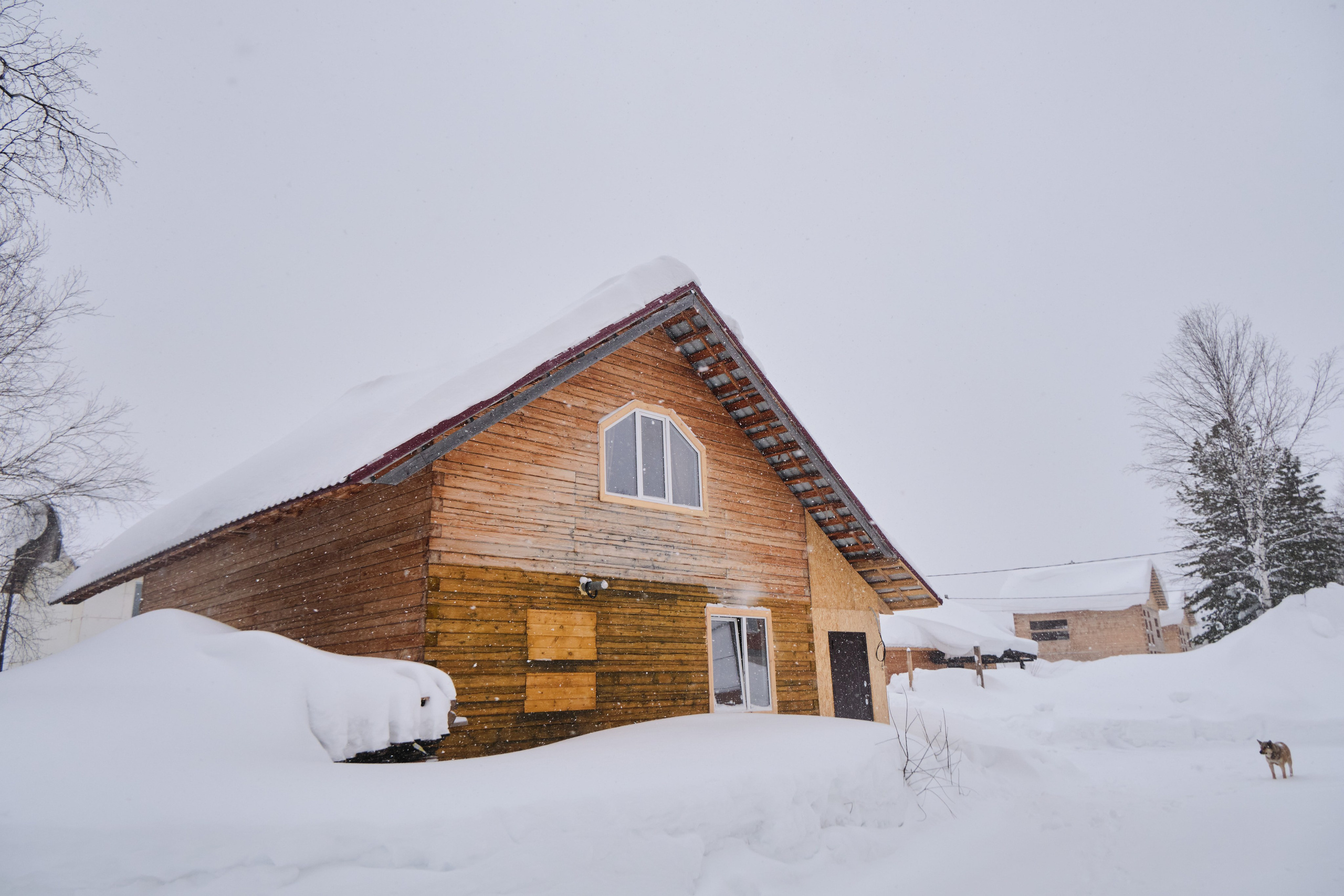 Свободная 8 Дом 2. Свадебный и семейный фотограф в Новокузнецке Иван Иванов