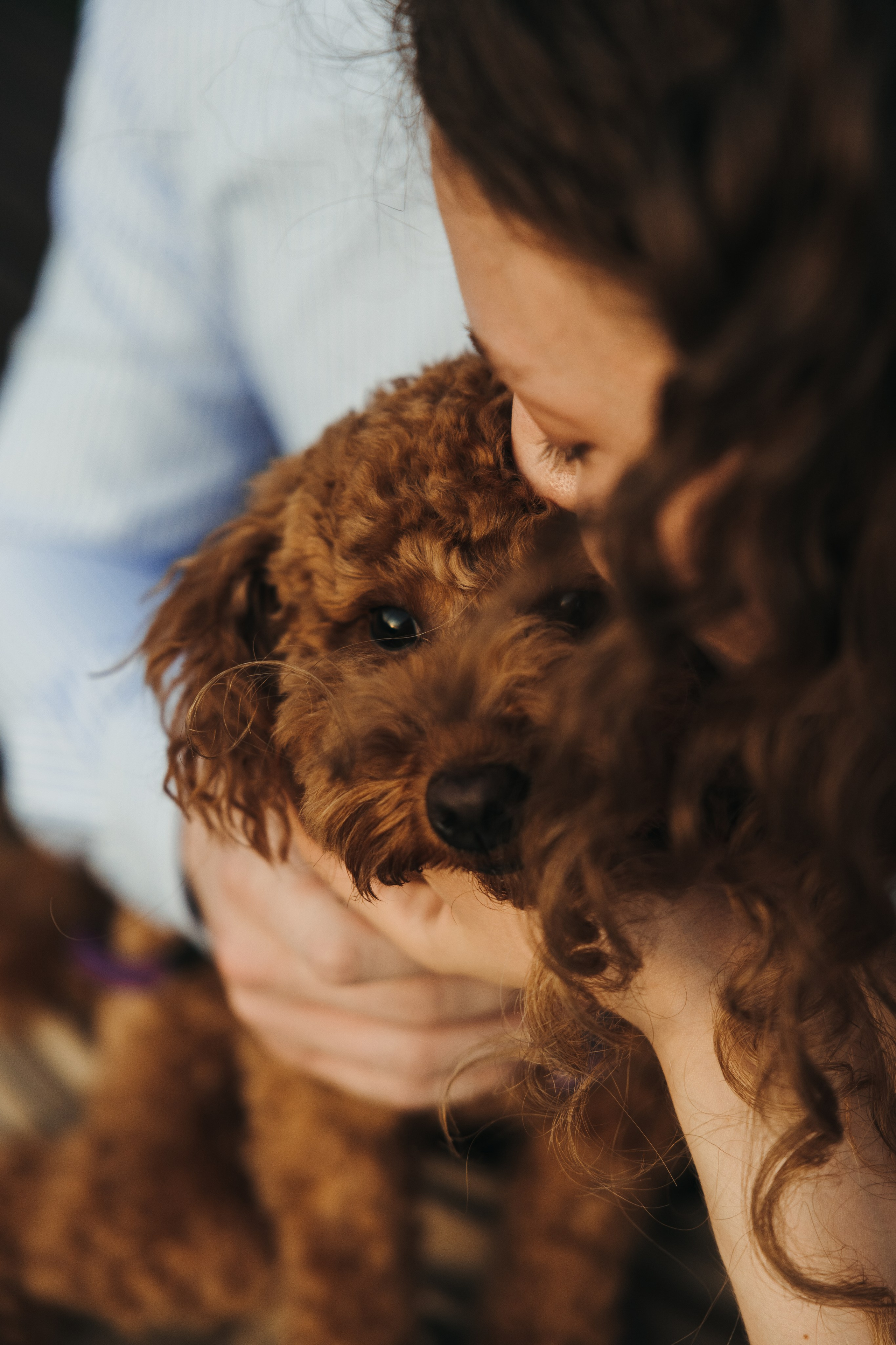Надя и Федя. Свадебный фотограф Москва Анастасия Храмова