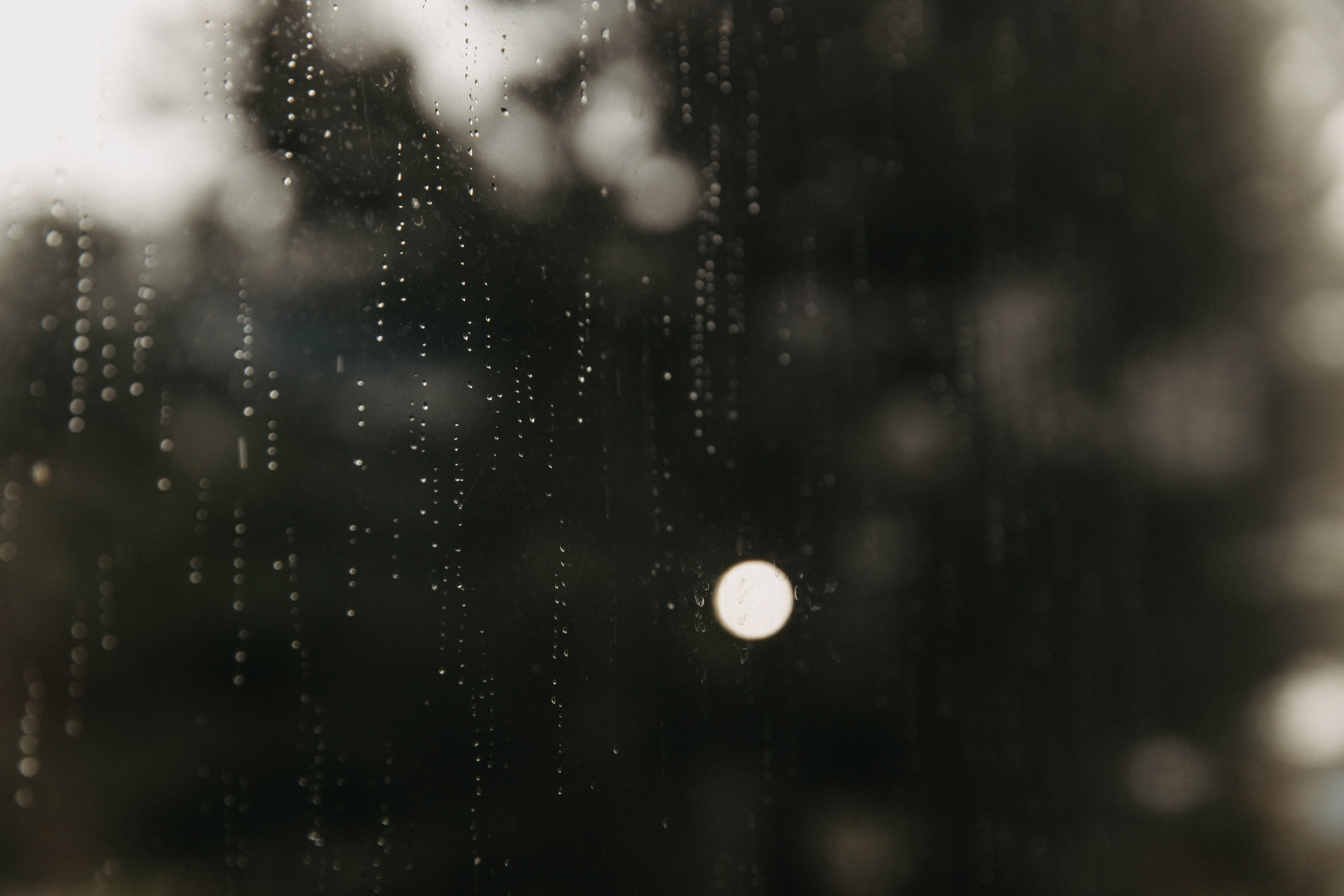 Дмитрий и Софья. Свадебный и Семейный фотограф по всему миру Анна Фёдорова