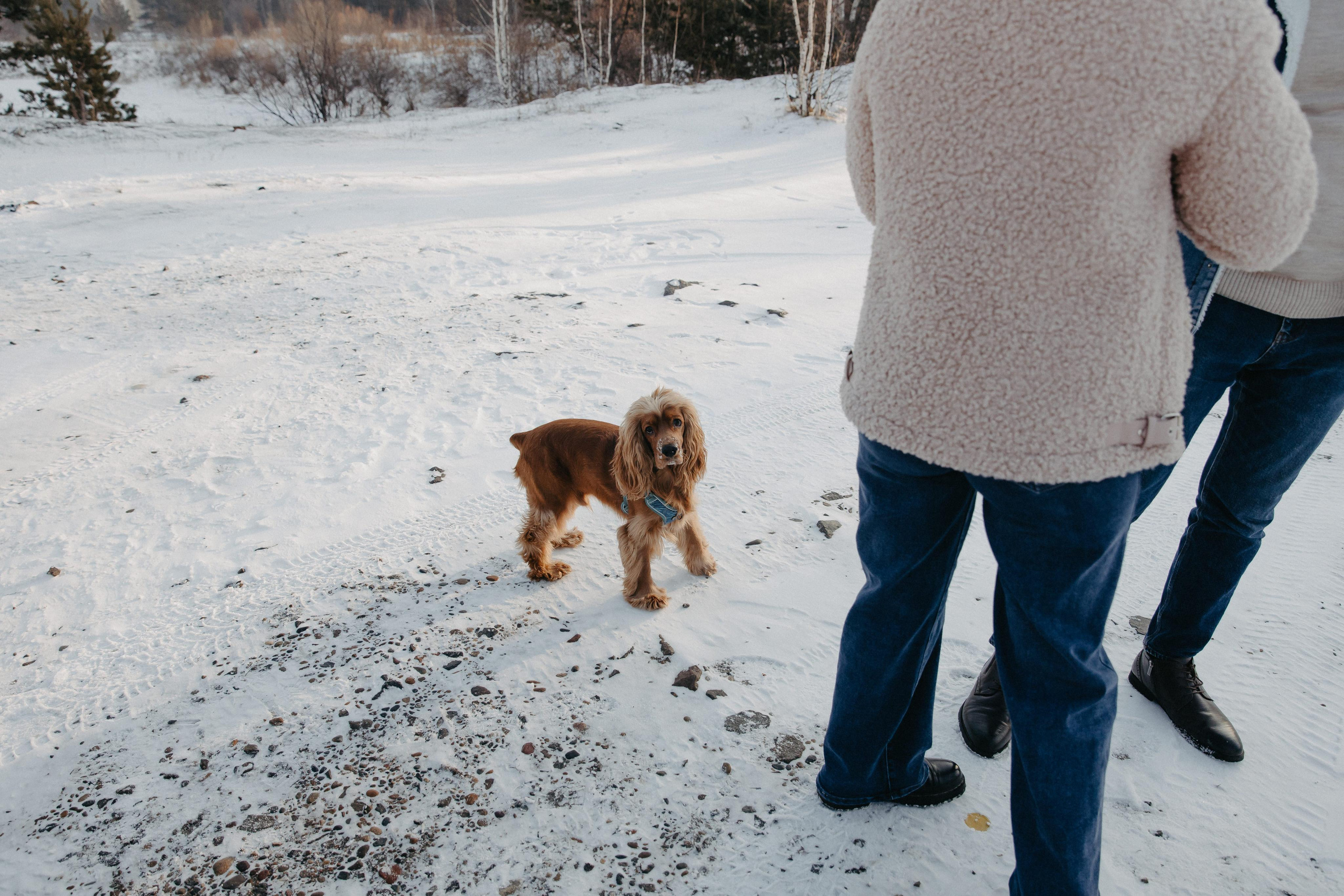 Владислав, Дарья и Арчи. Свадебный и Семейный фотограф по всему миру Анна Фёдорова