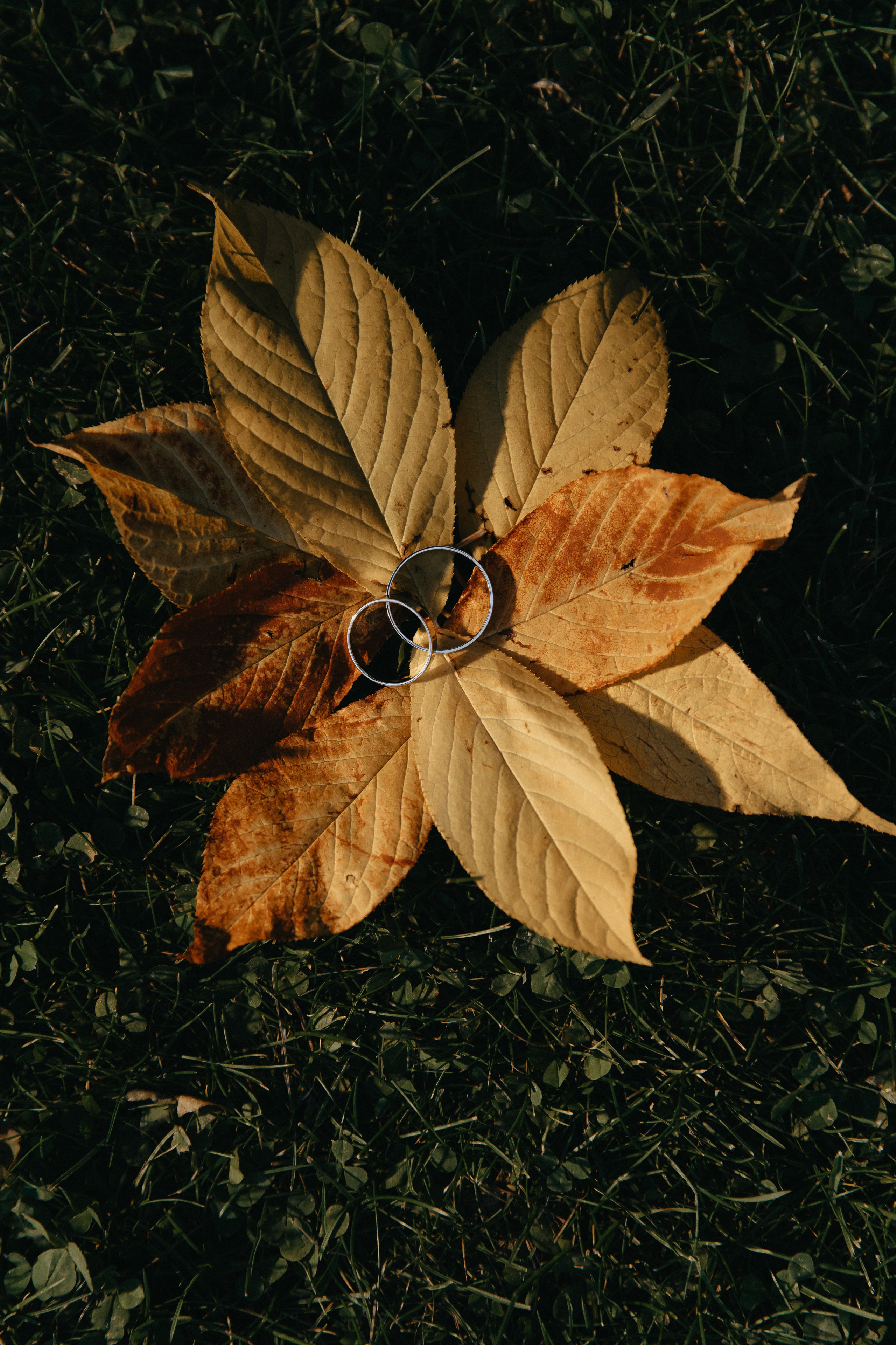 Владислав и Елизавета. Свадебный и Семейный фотограф по всему миру Анна Фёдорова