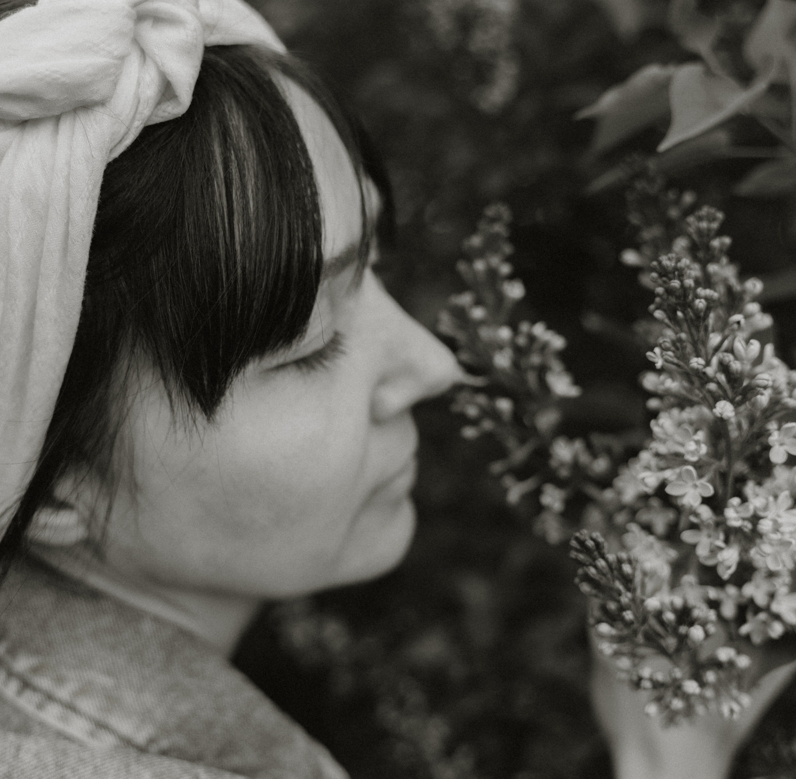 Сирень…. FotoTanya. Раменское/Жуковский/Бронницы