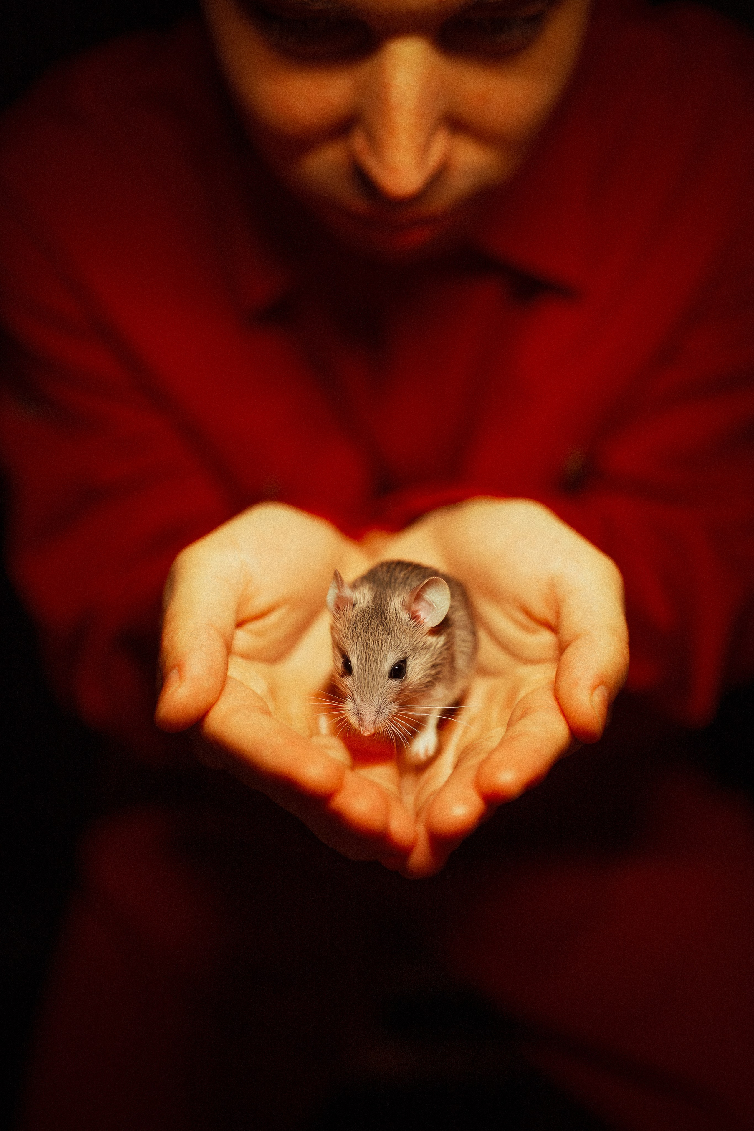 Повелитель страниц. Александр Атлес Фотограф