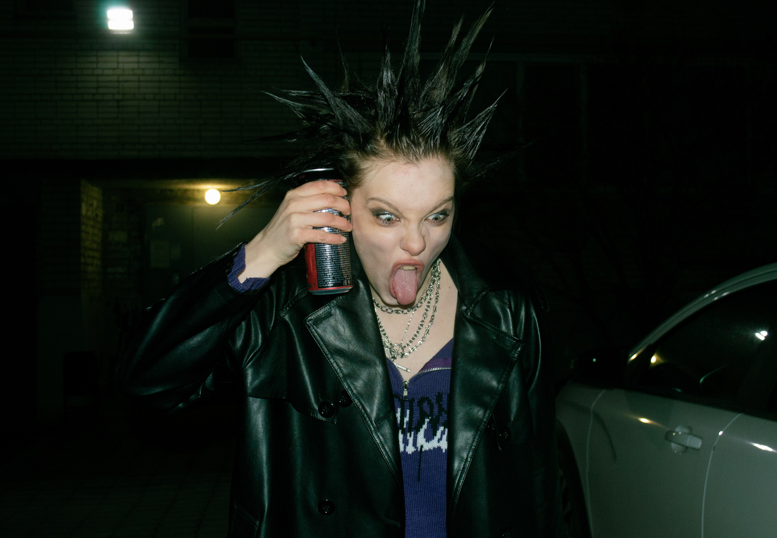 Гошок жив?. Костенко Анна pdie