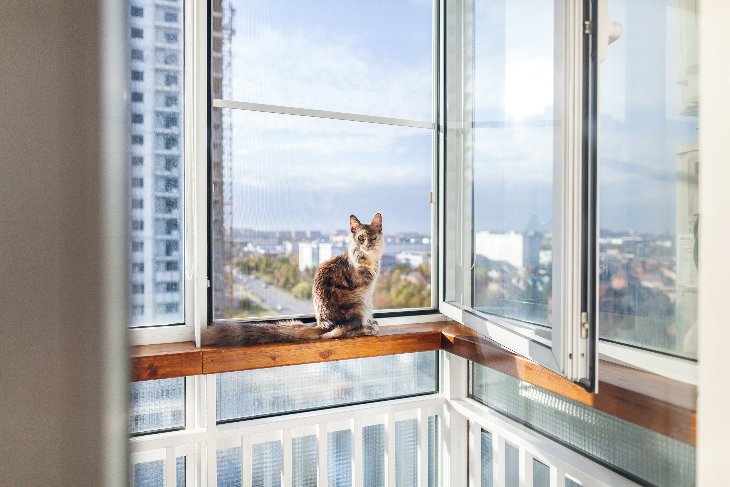 ***. Фотограф Денис Денисов