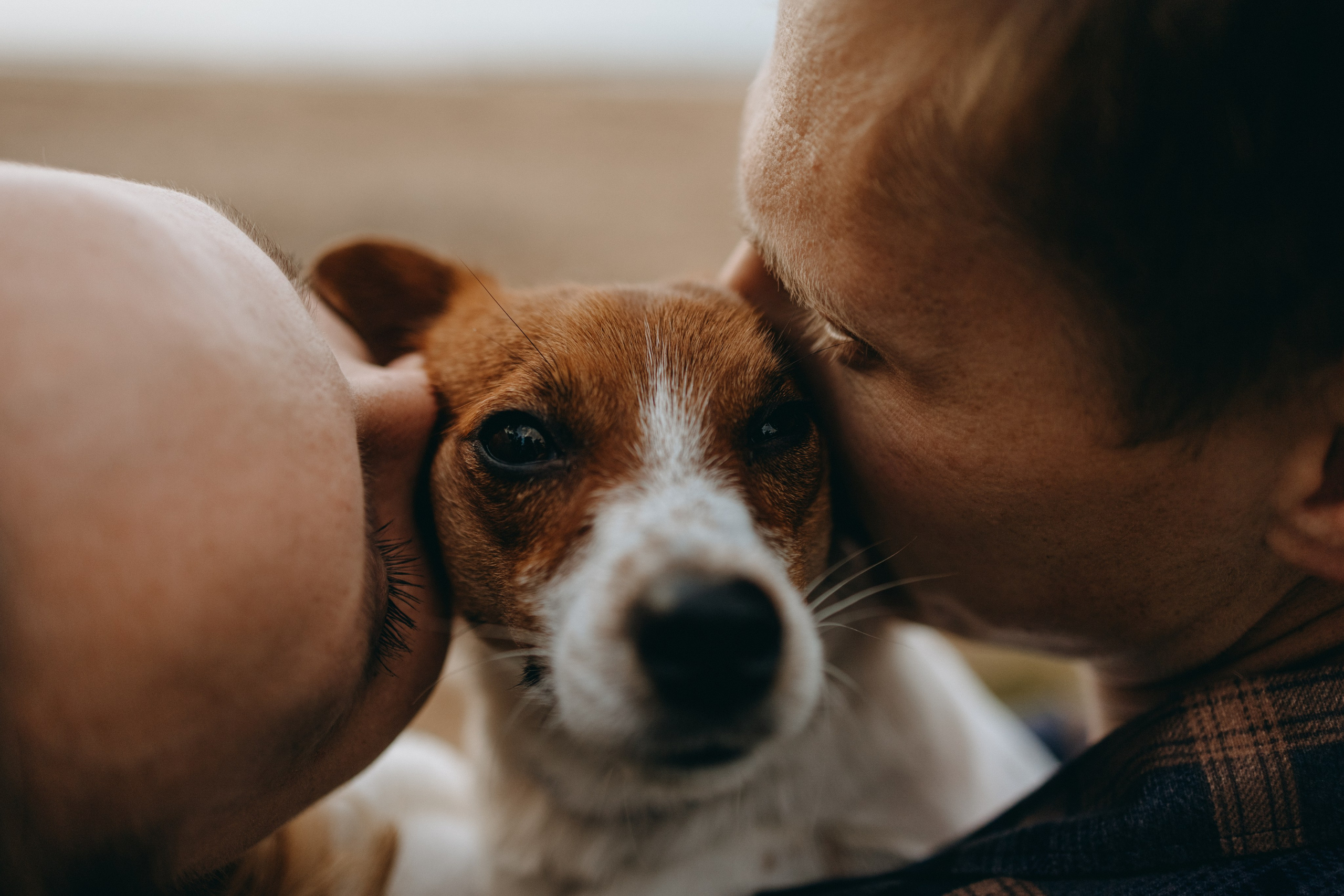 Лея и ее семья. Фотограф — Анималист | Санкт-Петербург