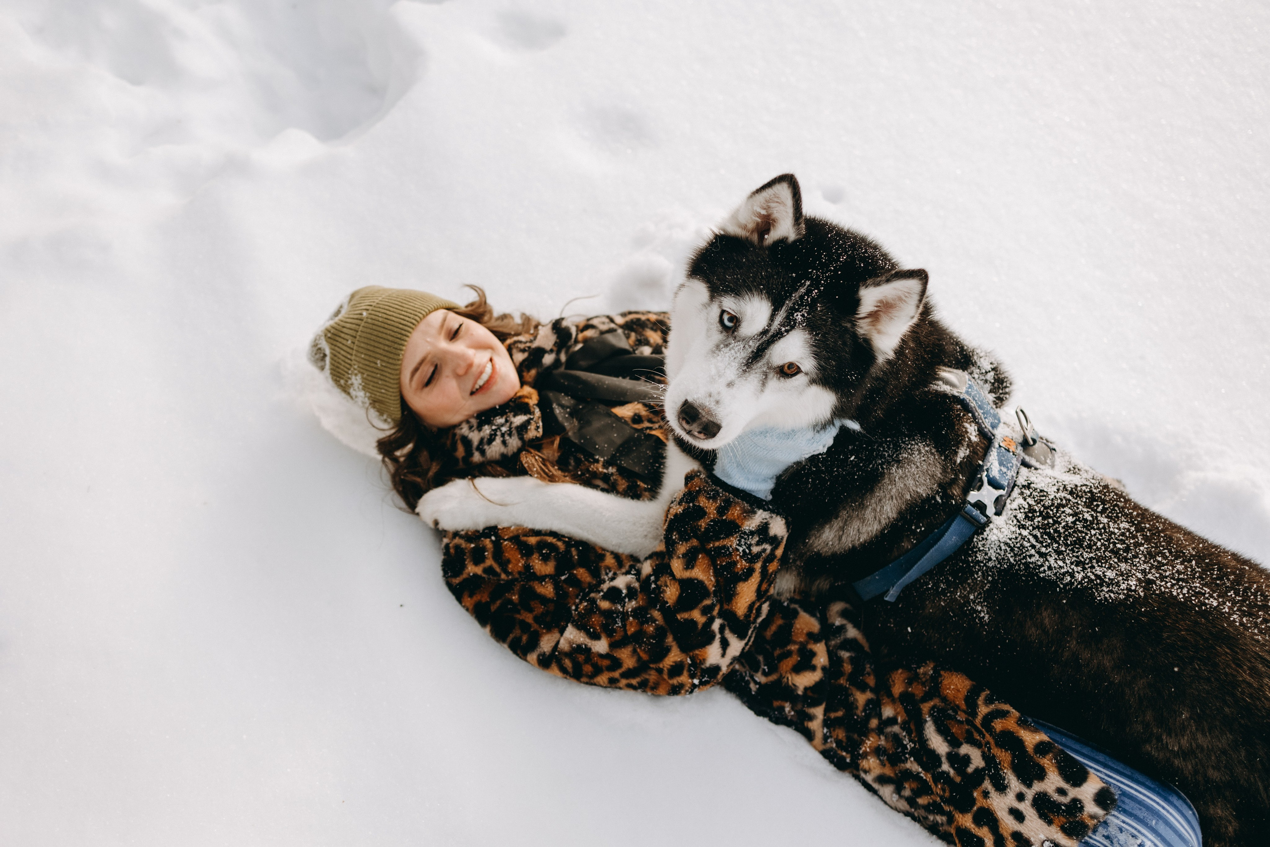 Вегас и его семья. Фотограф — Анималист | Санкт-Петербург
